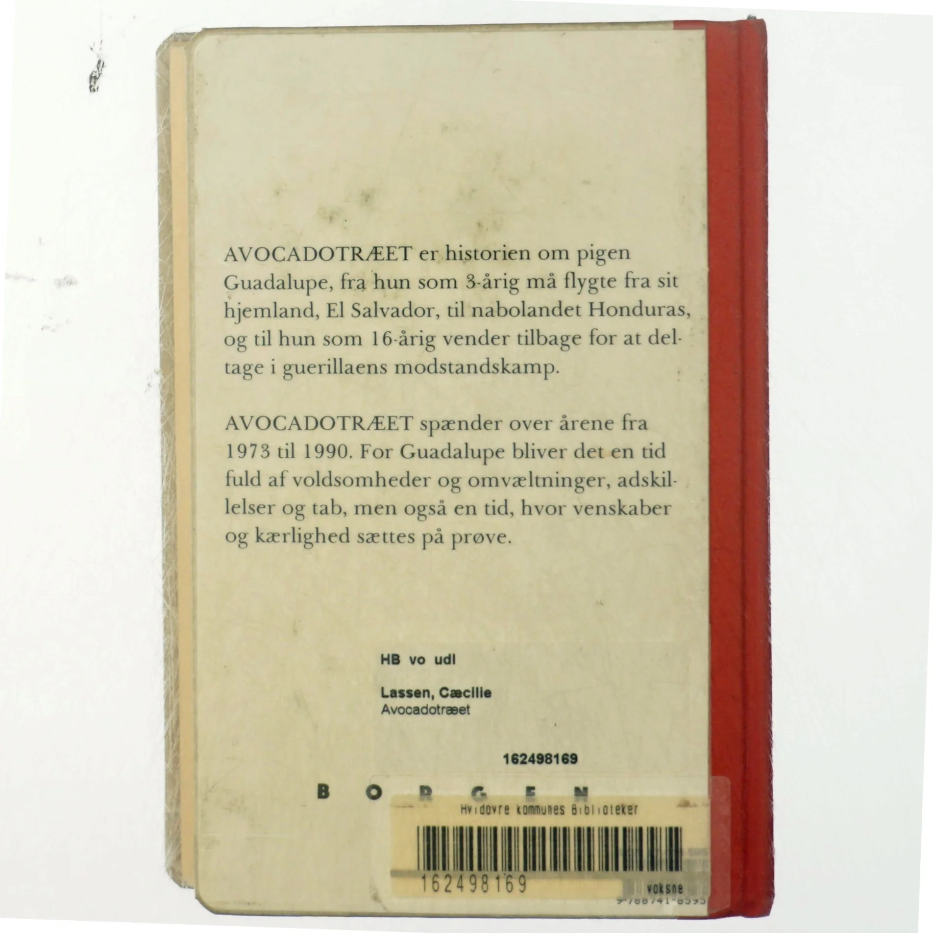 Cæcilie Lassen, Avocadotræet