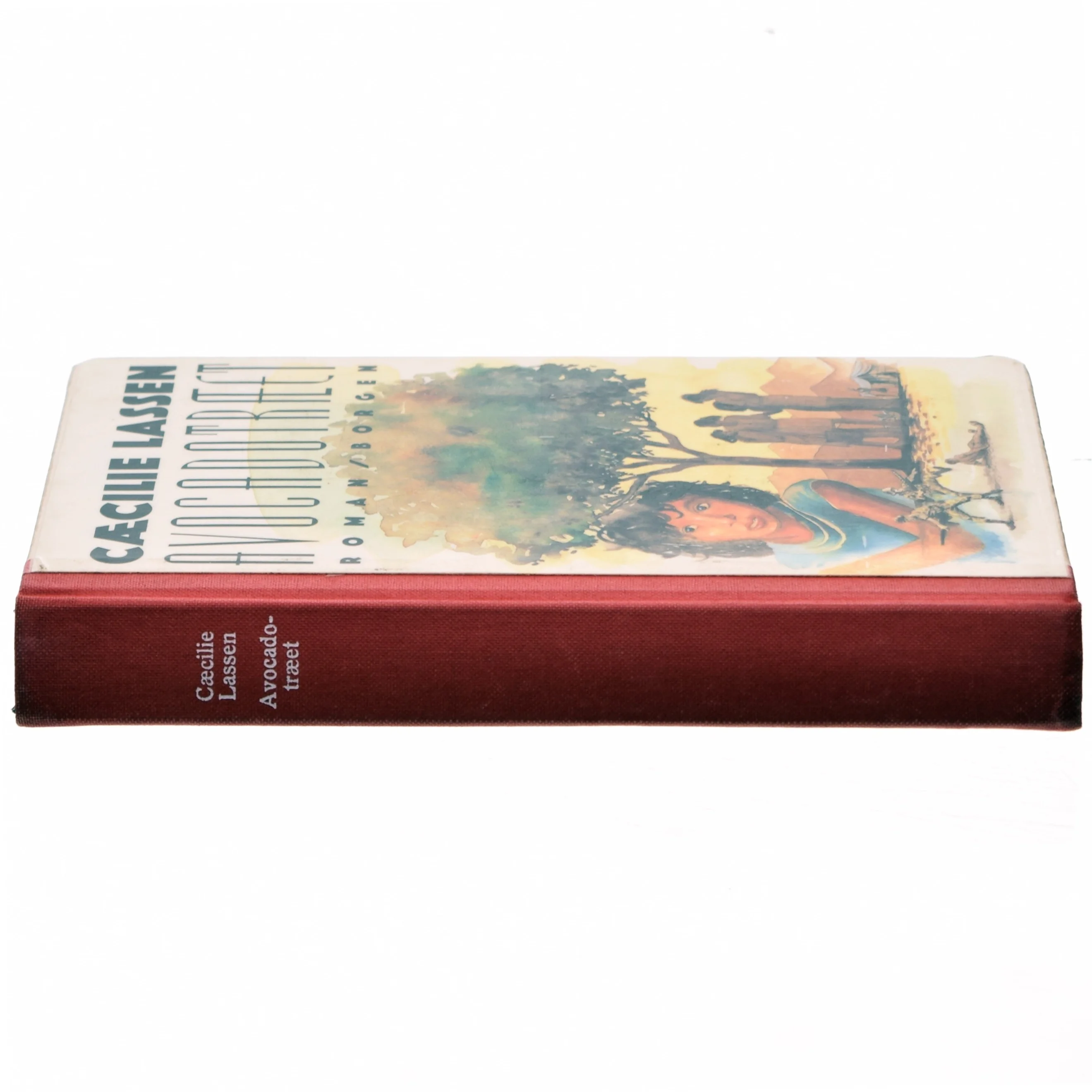 Cæcilie Lassen, Avocadotræet