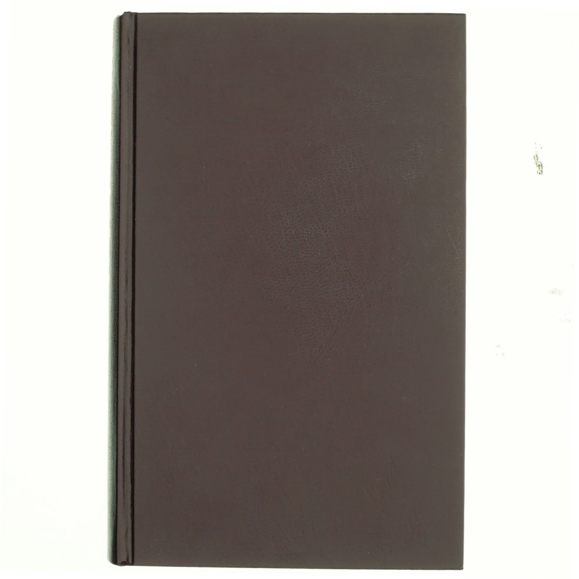 Ekko af Maeve Binchy