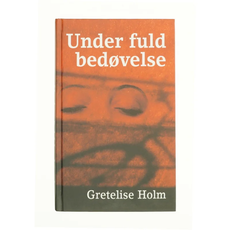 Under fuld bedøvelse af Gretelise Holm (Bog)