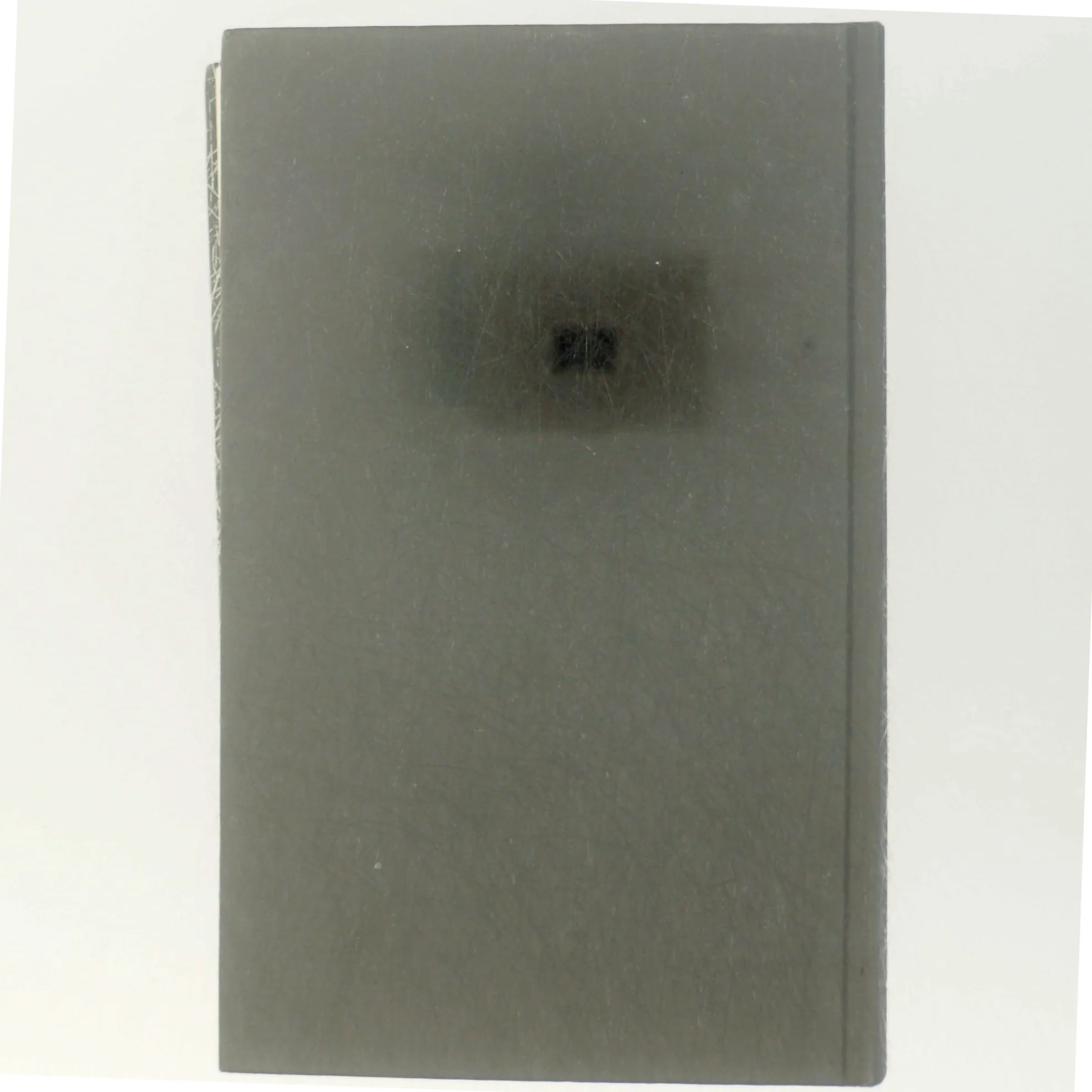 'Kvinden i toget' af Paula Hawkins (bog)