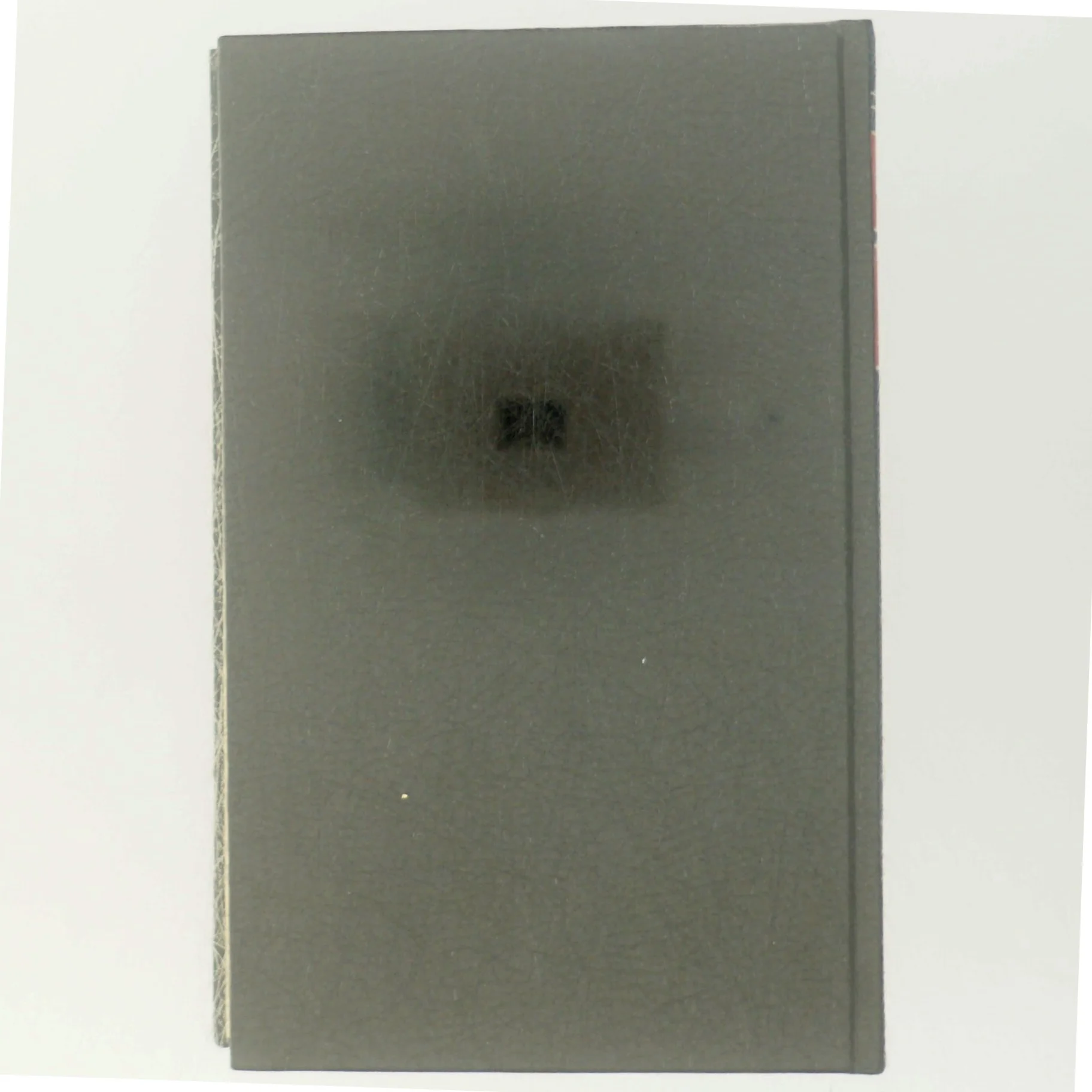 SENTINEL 'magtens marionetter' af A. W. Mykel (bog)