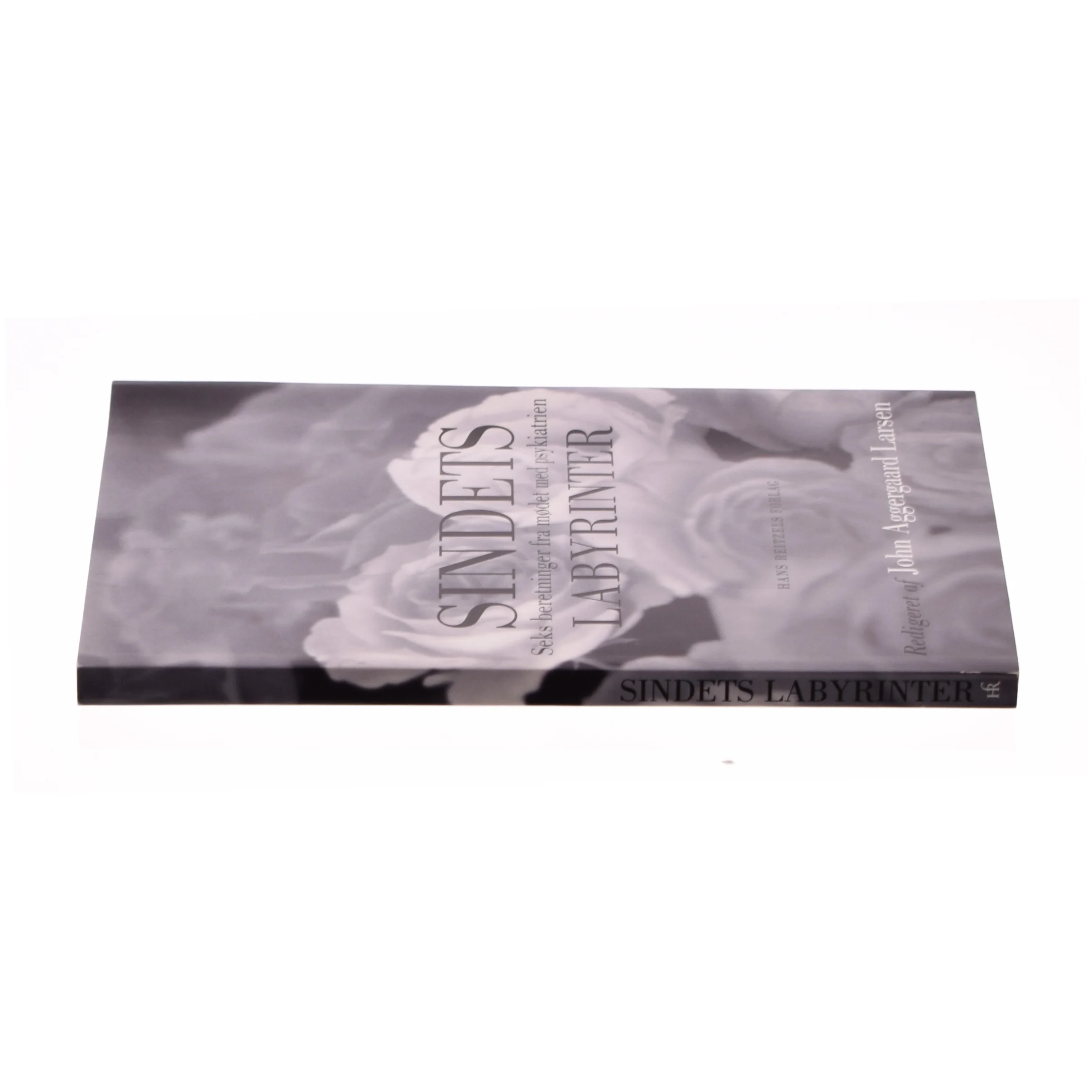 Sindets labyrinter af John Aggergaard Larsen (Bog)