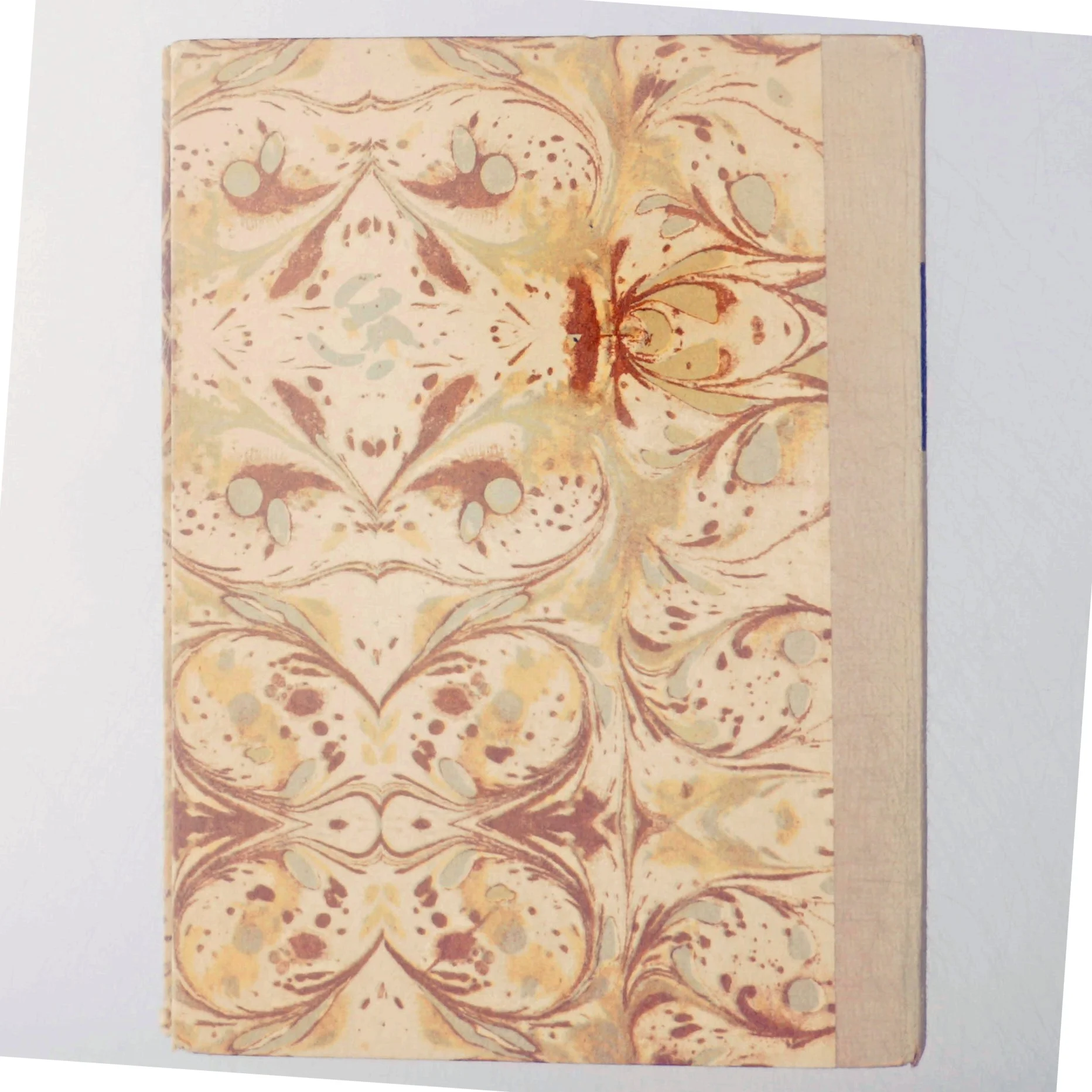 Ulla Meyer, ud i det blå