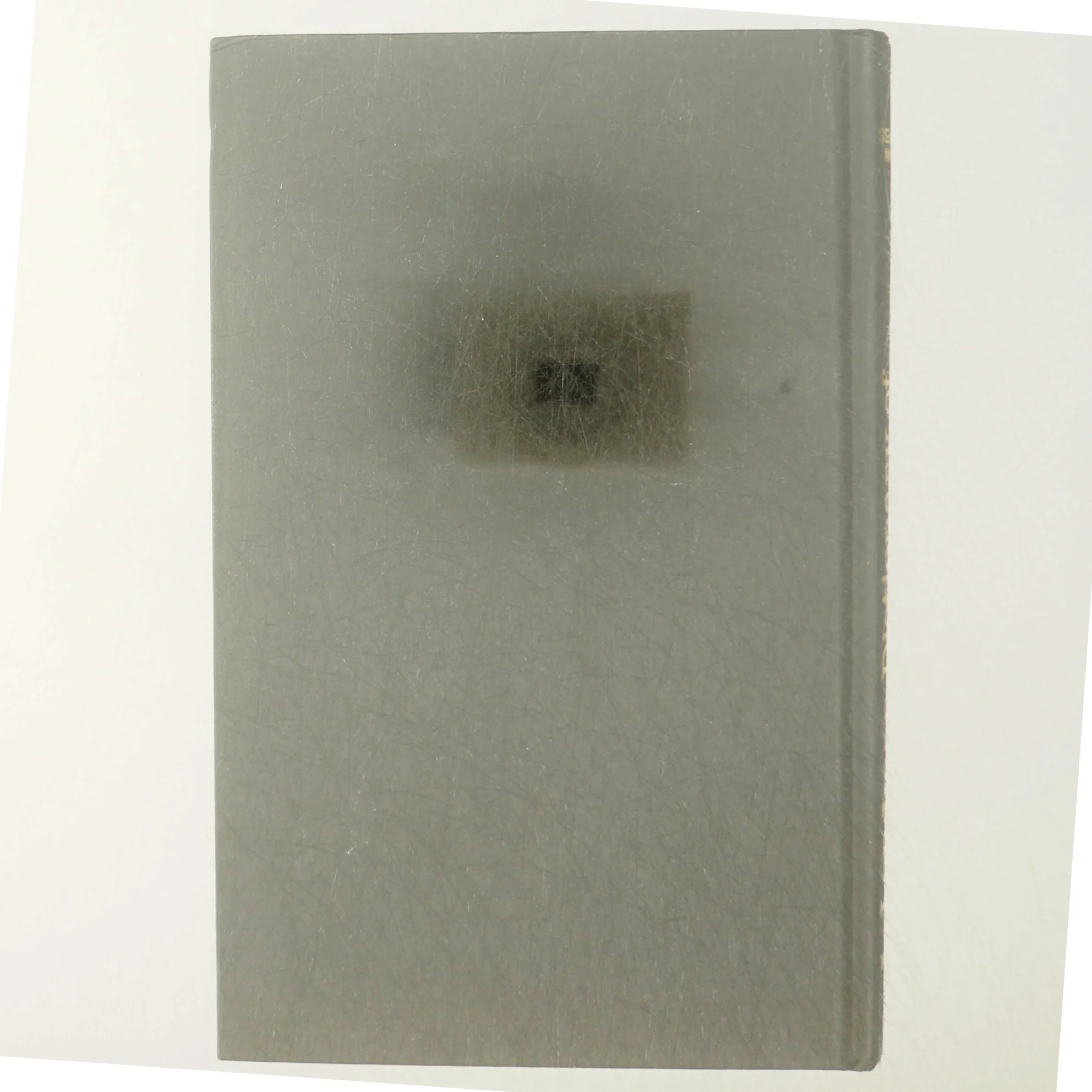 Longman dictionary of business english (bog)