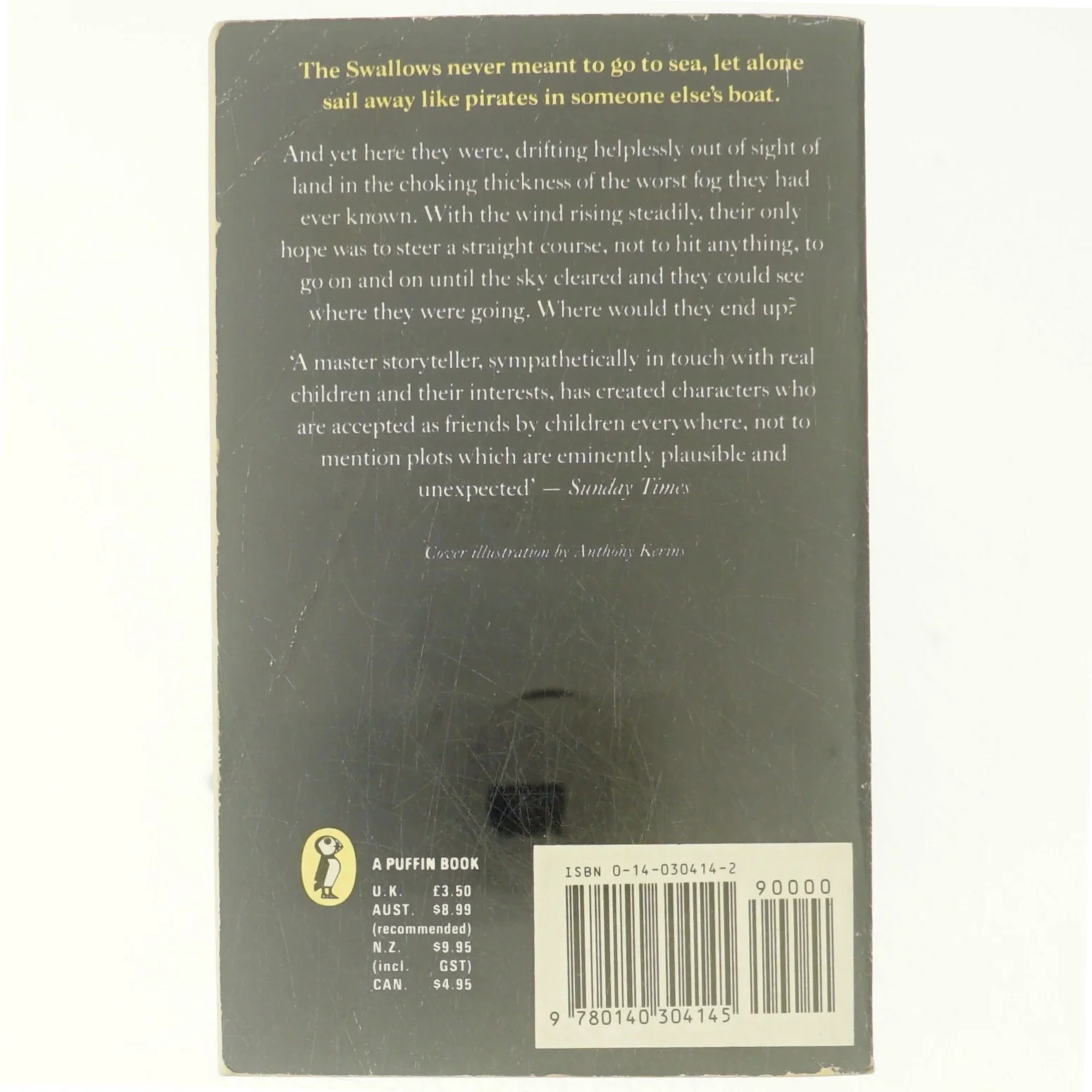 We Didn't Mean to Go to Sea af Arthur Ransome (Bog)