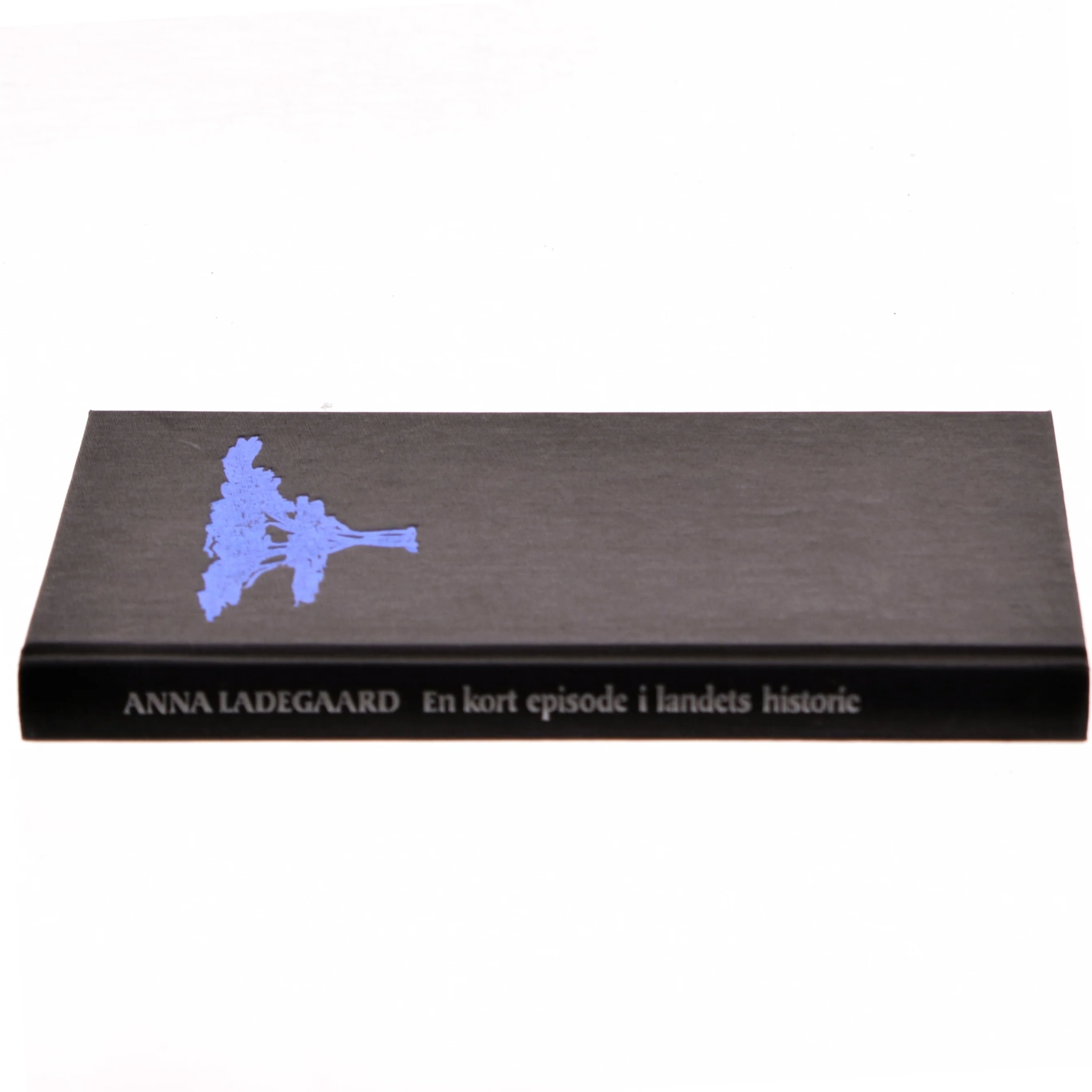 En kort episode i landets historie af Anna Ladegaard (Bog)