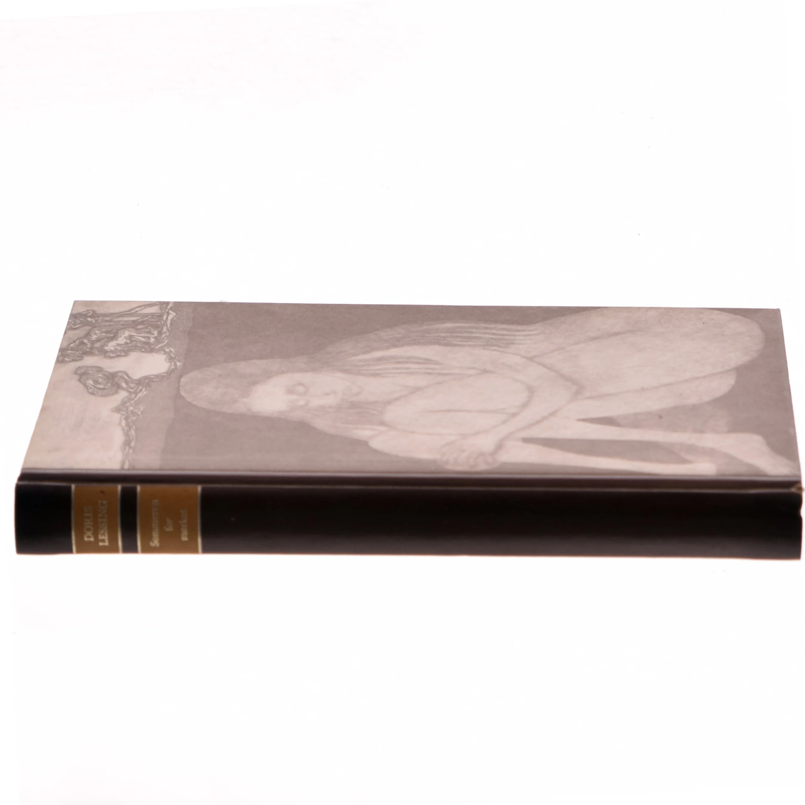 Sept leçons sur le cerveau af Denis Le Bihan (Bog)