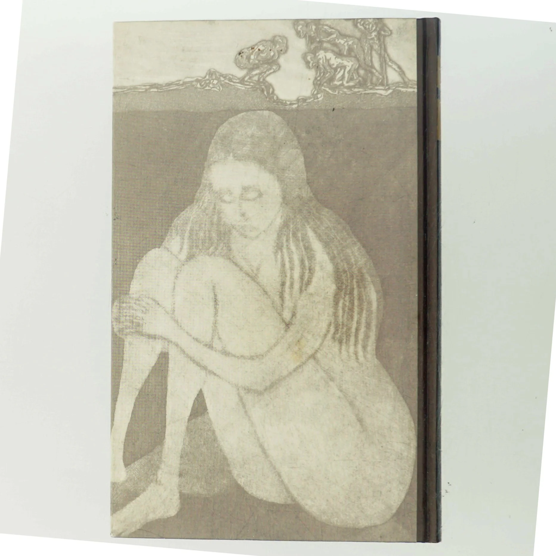 Sept leçons sur le cerveau af Denis Le Bihan (Bog)