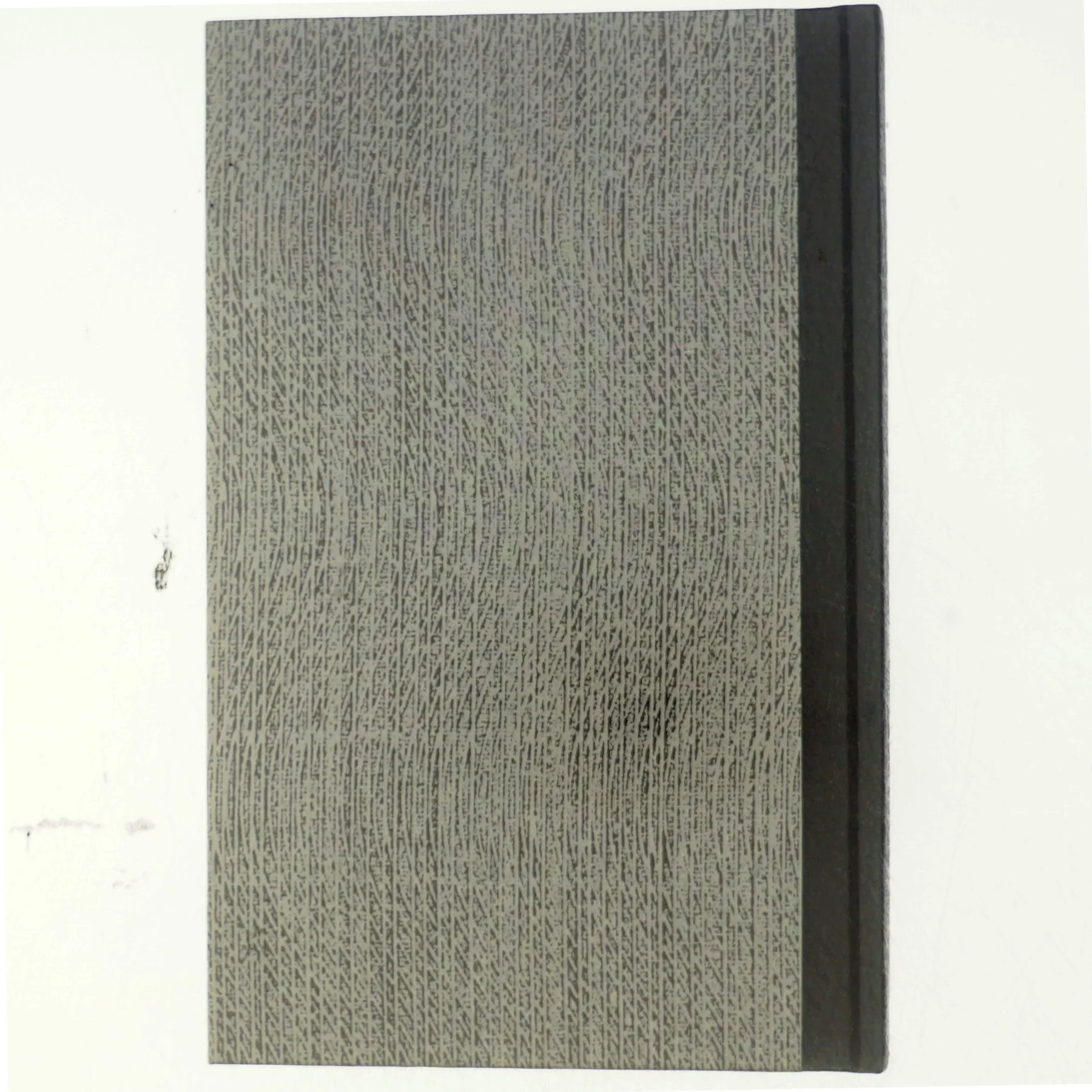 Manden der fulgte med - Af Erik Pouplier