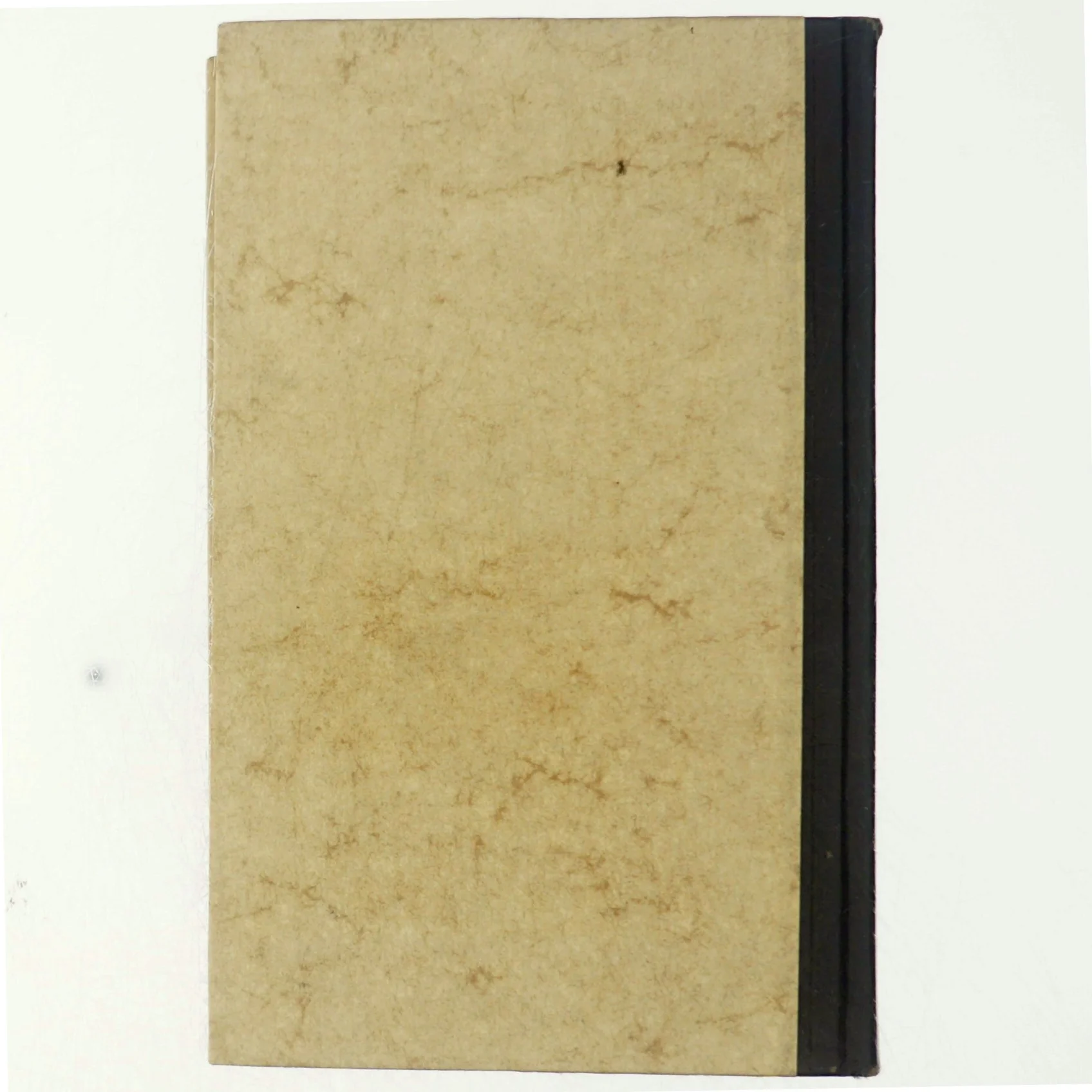 Trygve Guldbrandsen, Und ewig singen die Wälder 