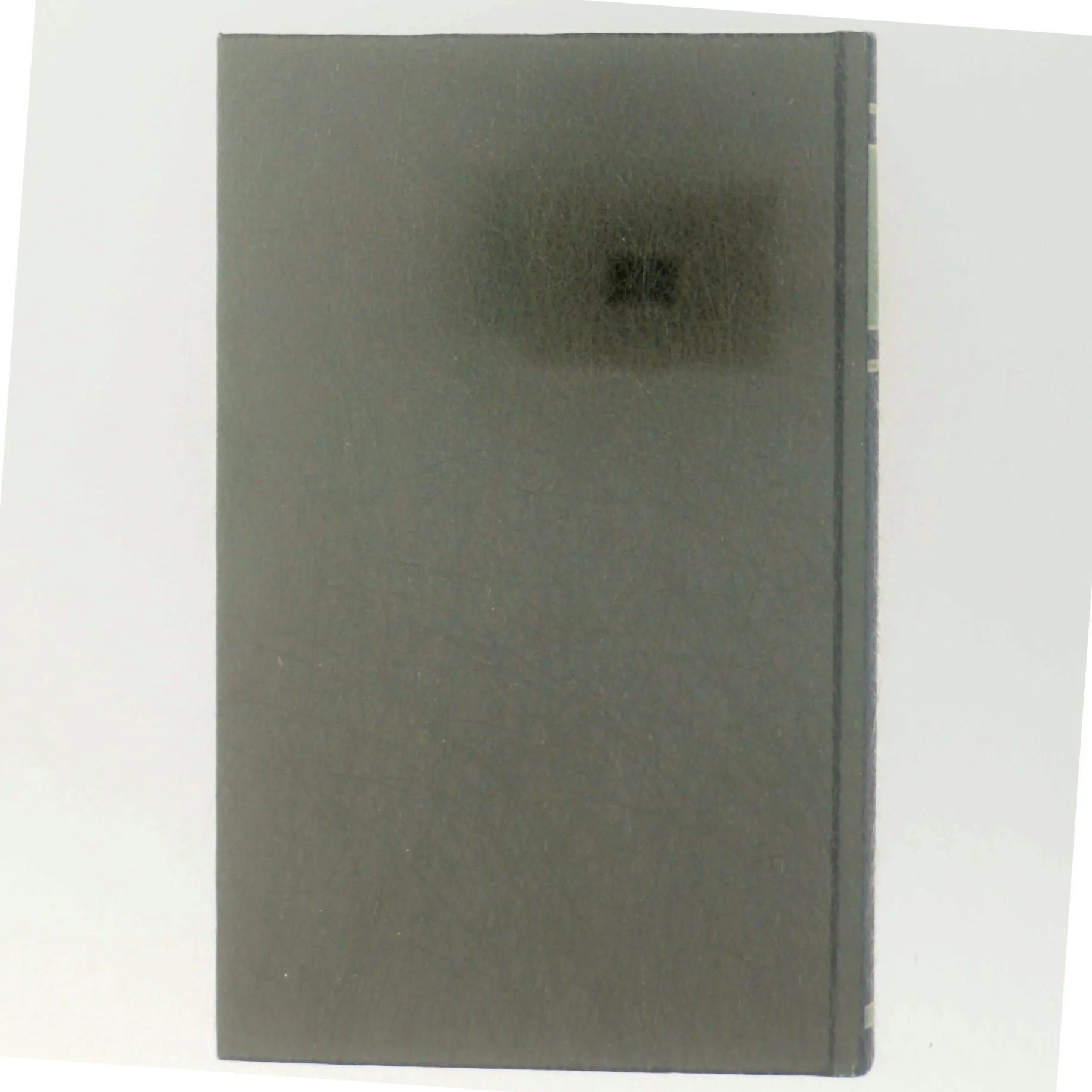 'Slottet i Firenze' af Noel Barber (bog)