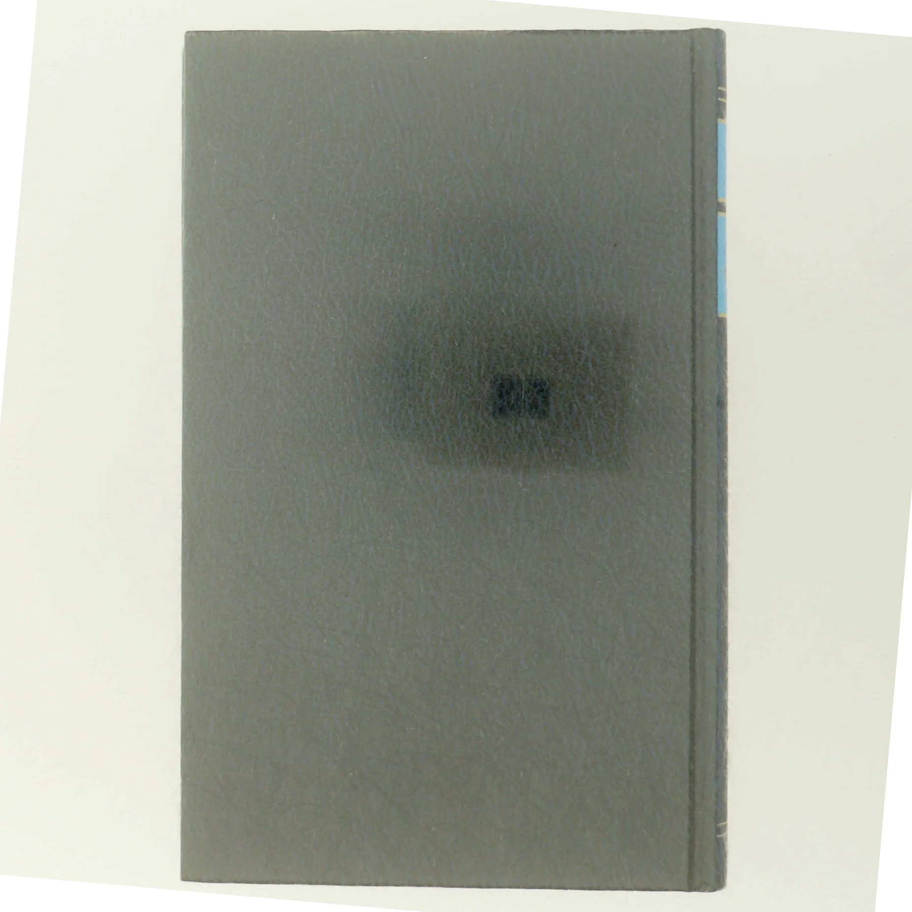 'Et barn forsvinder' af Mary Napier (bog)