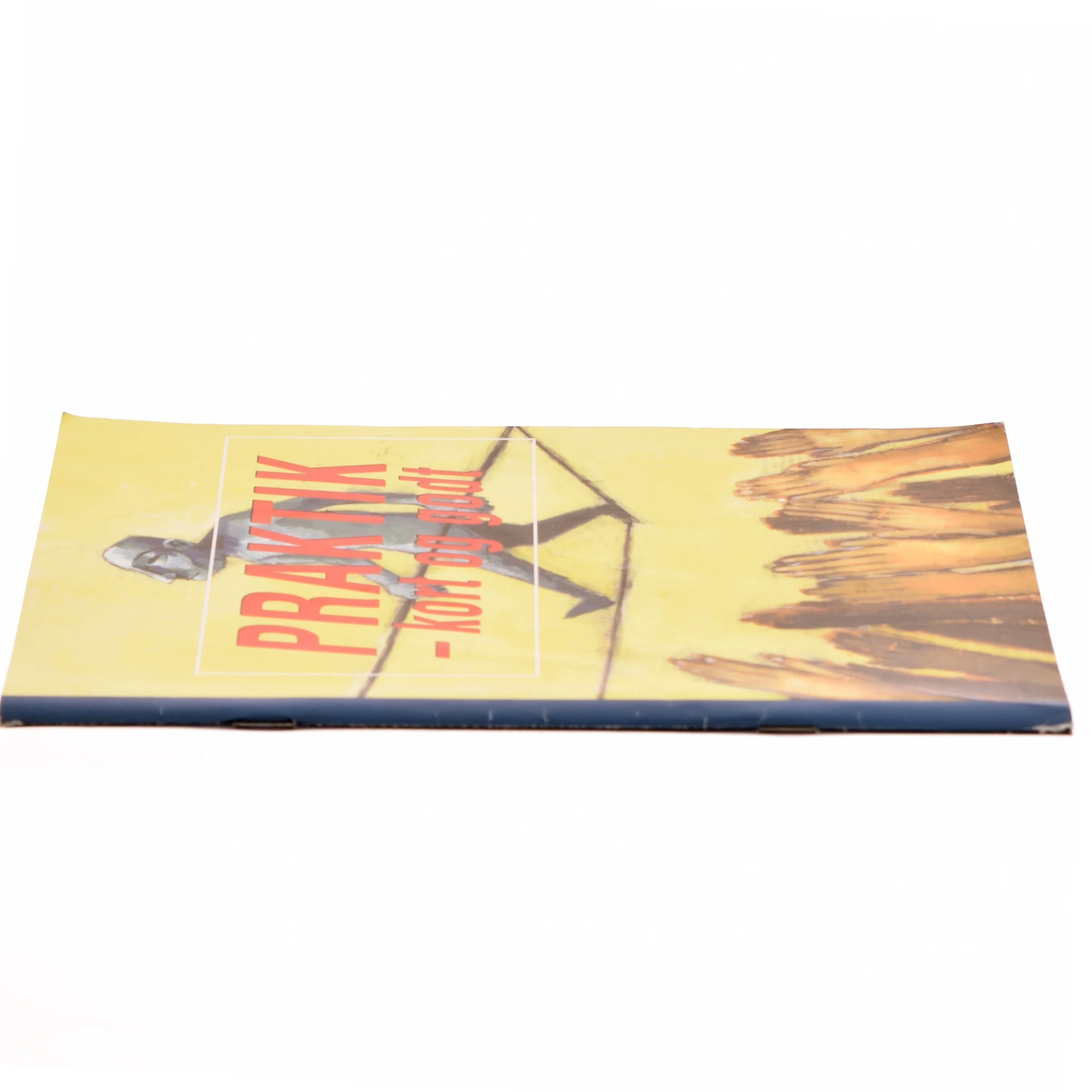 Praktik, kort og godt