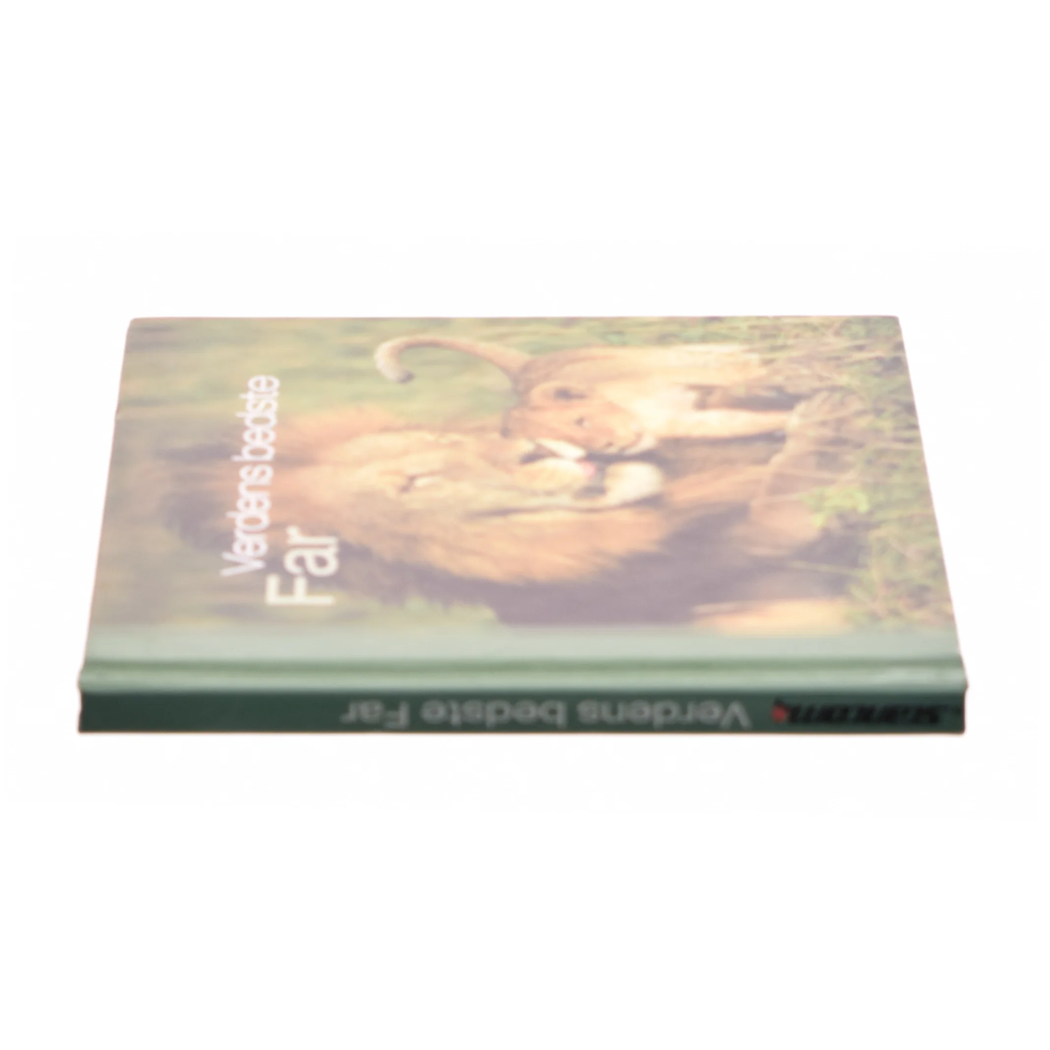 Verdens bedste far (Bog)