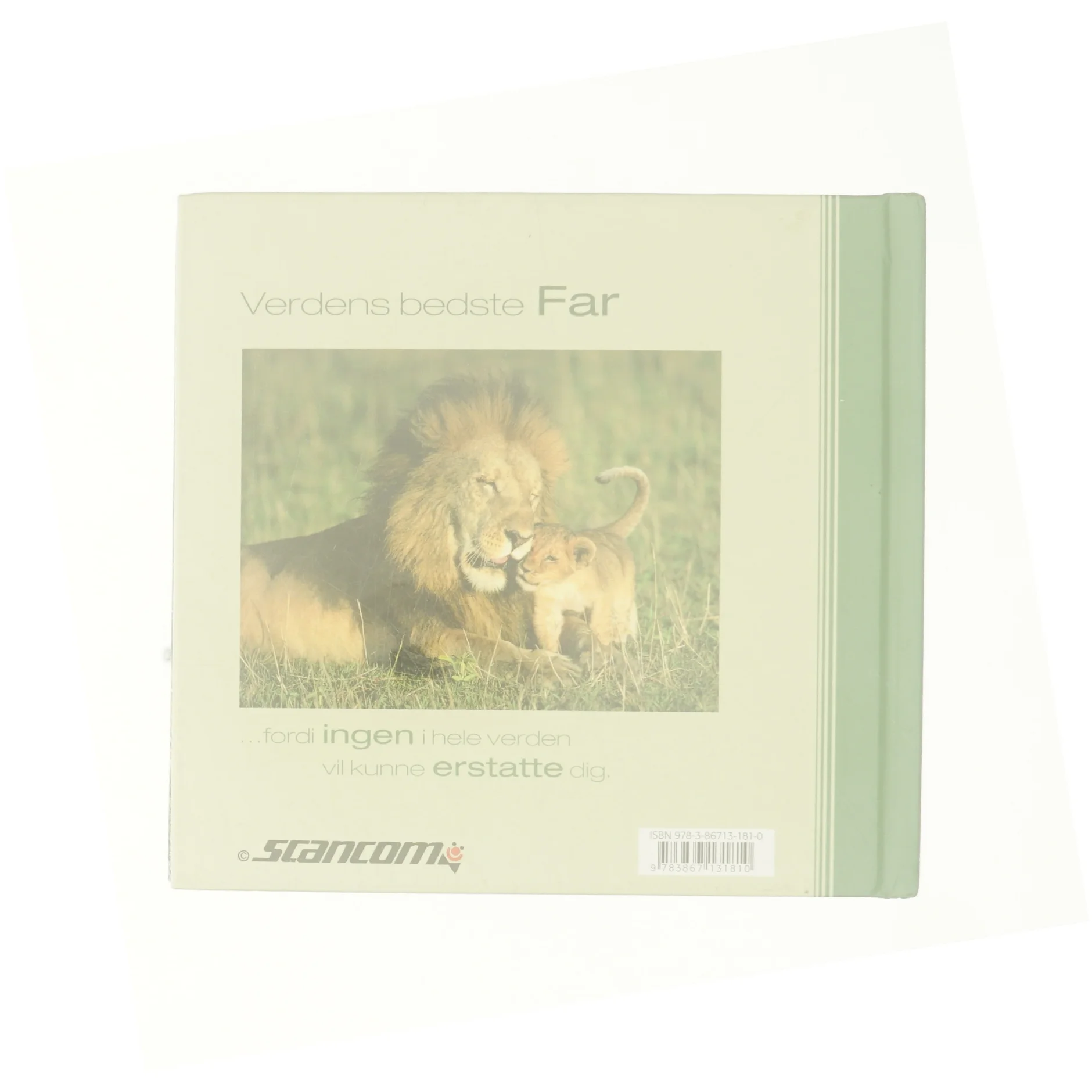 Verdens bedste far (Bog)