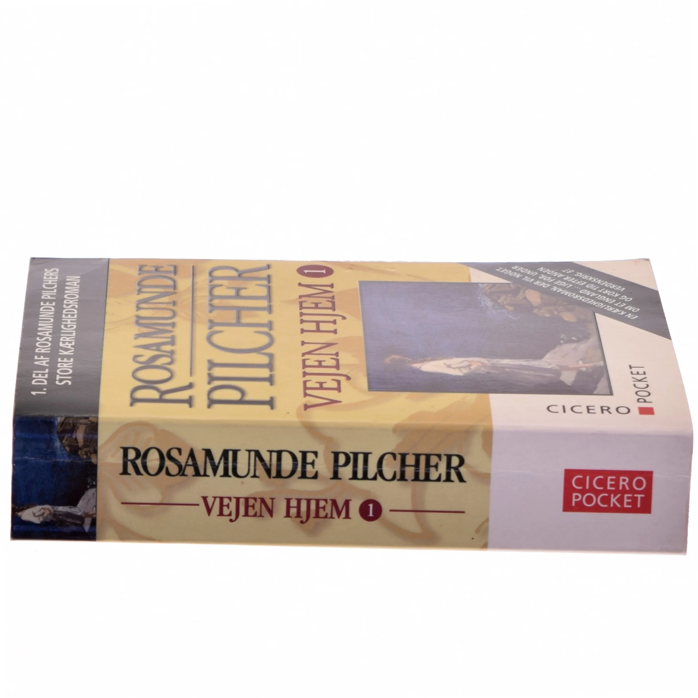 Vejen Hjem 1 af Rosamunde Pilcher (Bog)