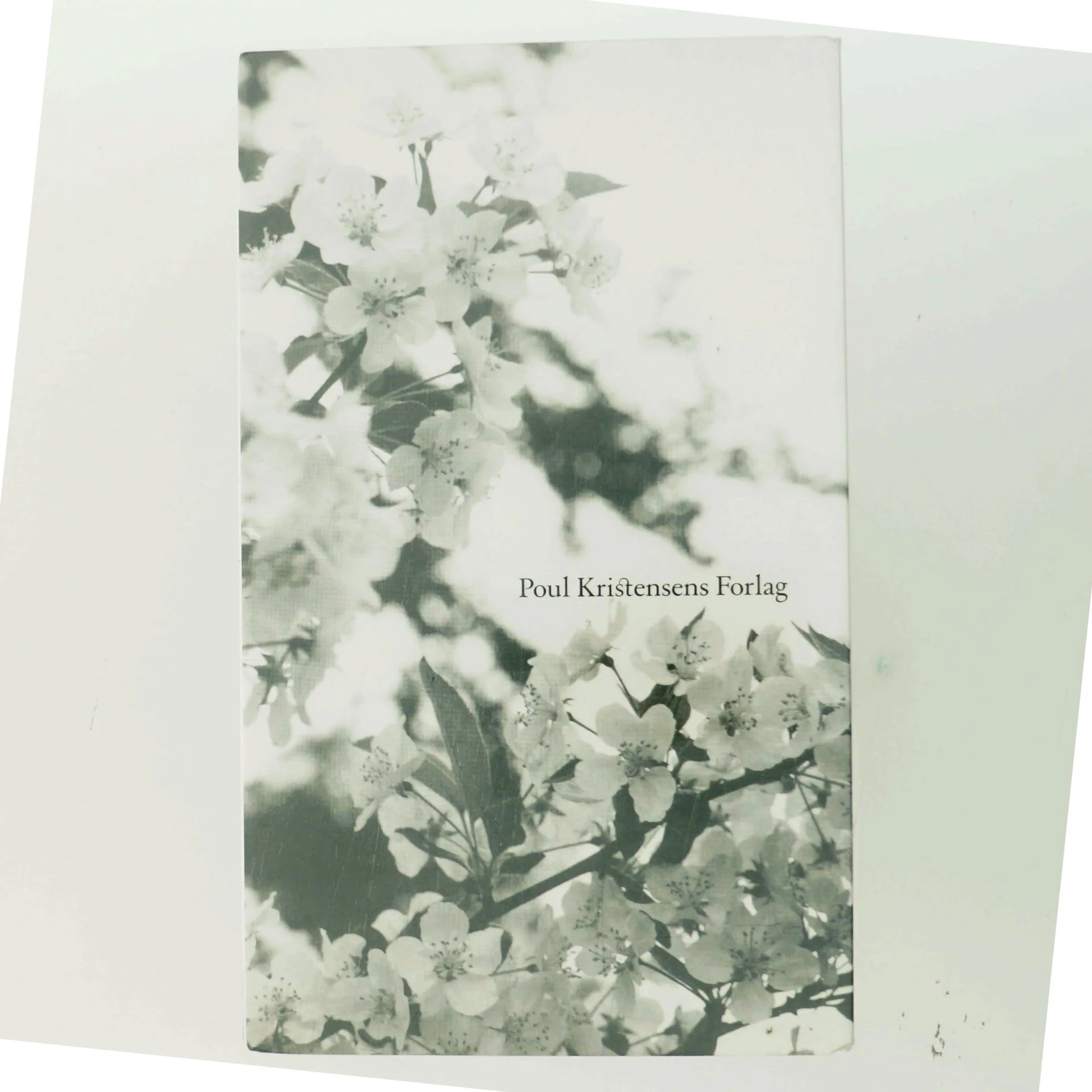 Bedstemors Paradishave af Bjarne Nielsen Brovst (Bog)