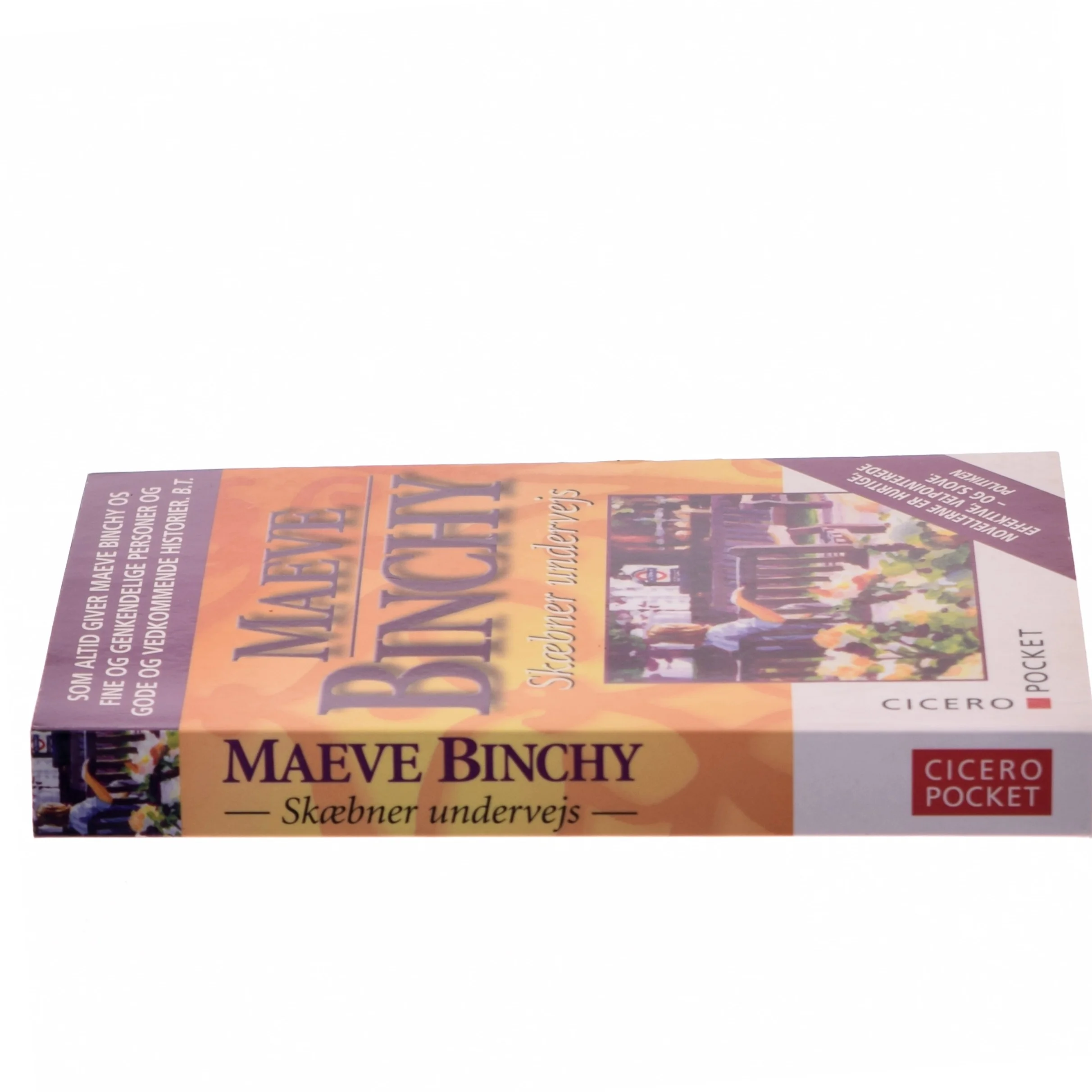 Skæbner undervejs af Maeve Binchy (Bog)