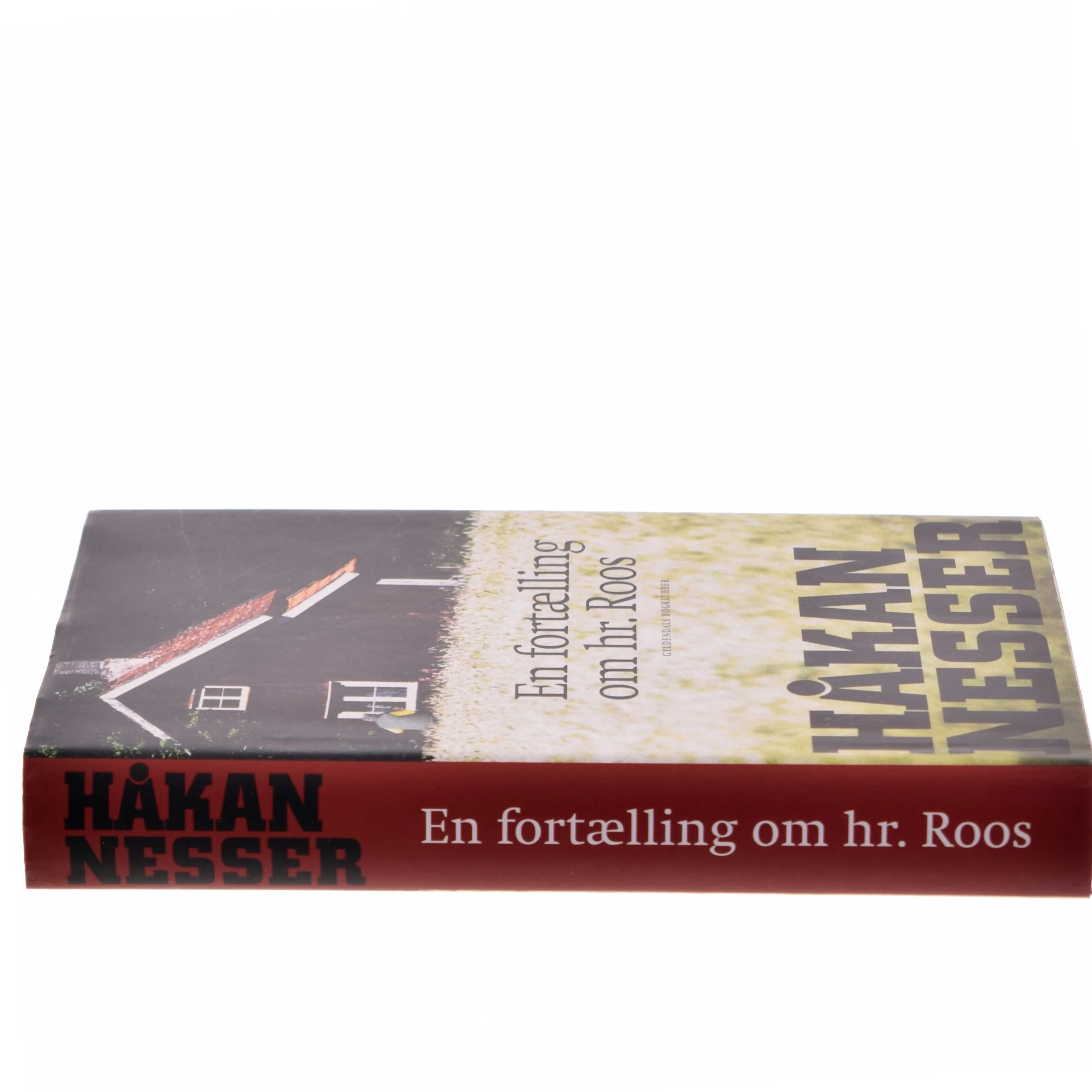 En fortælling om hr. Roos af Håkan Nesser (Bog)