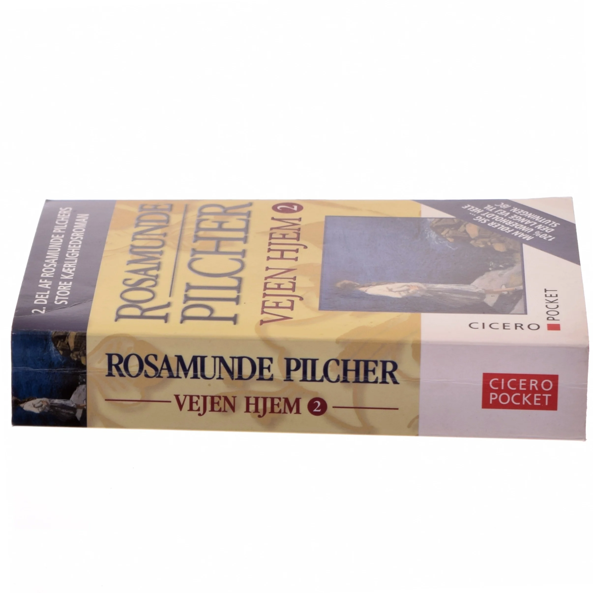 Vejen Hjem af Rosamunde Pilcher (Bog)