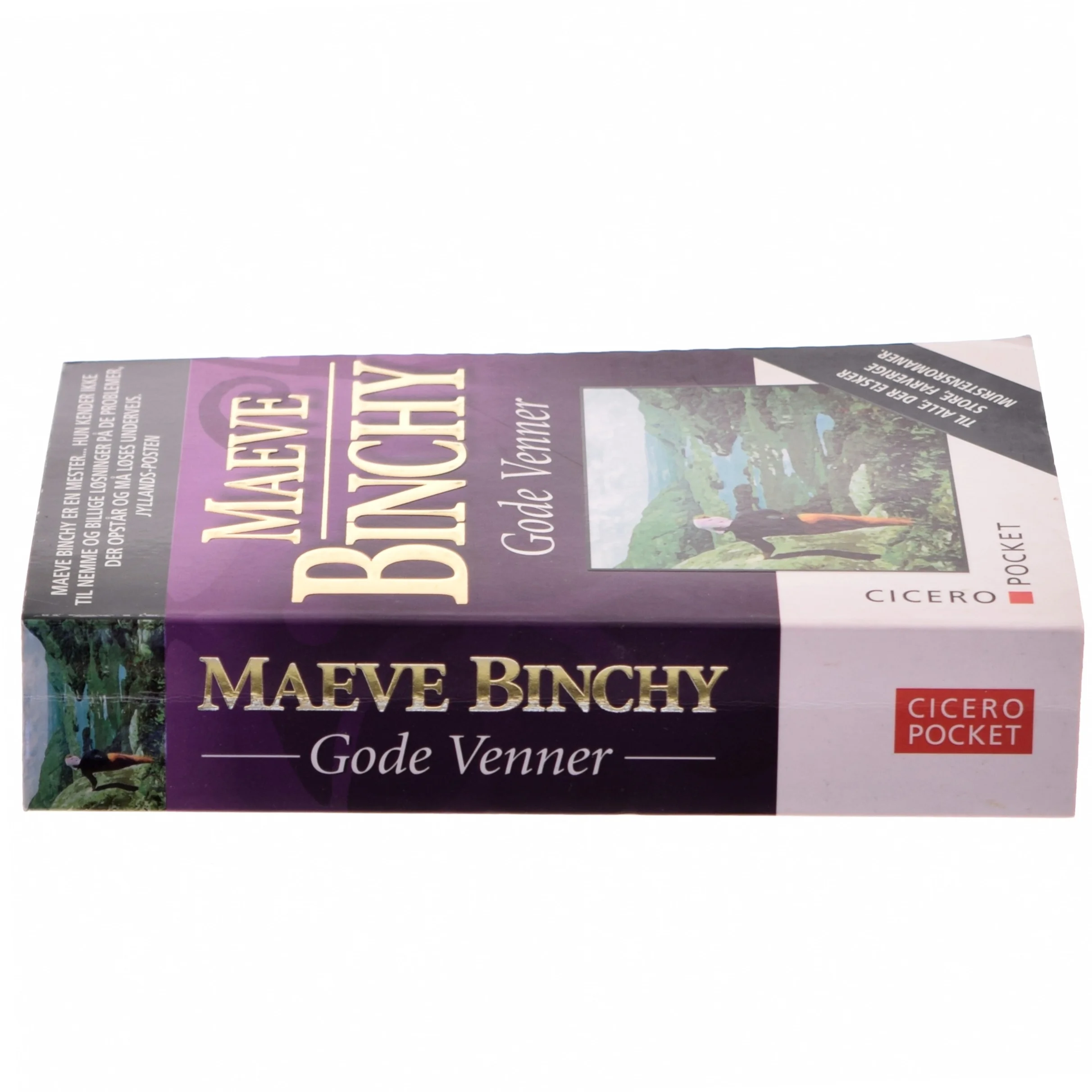 Gode venner af Maeve Binchy (Bog)