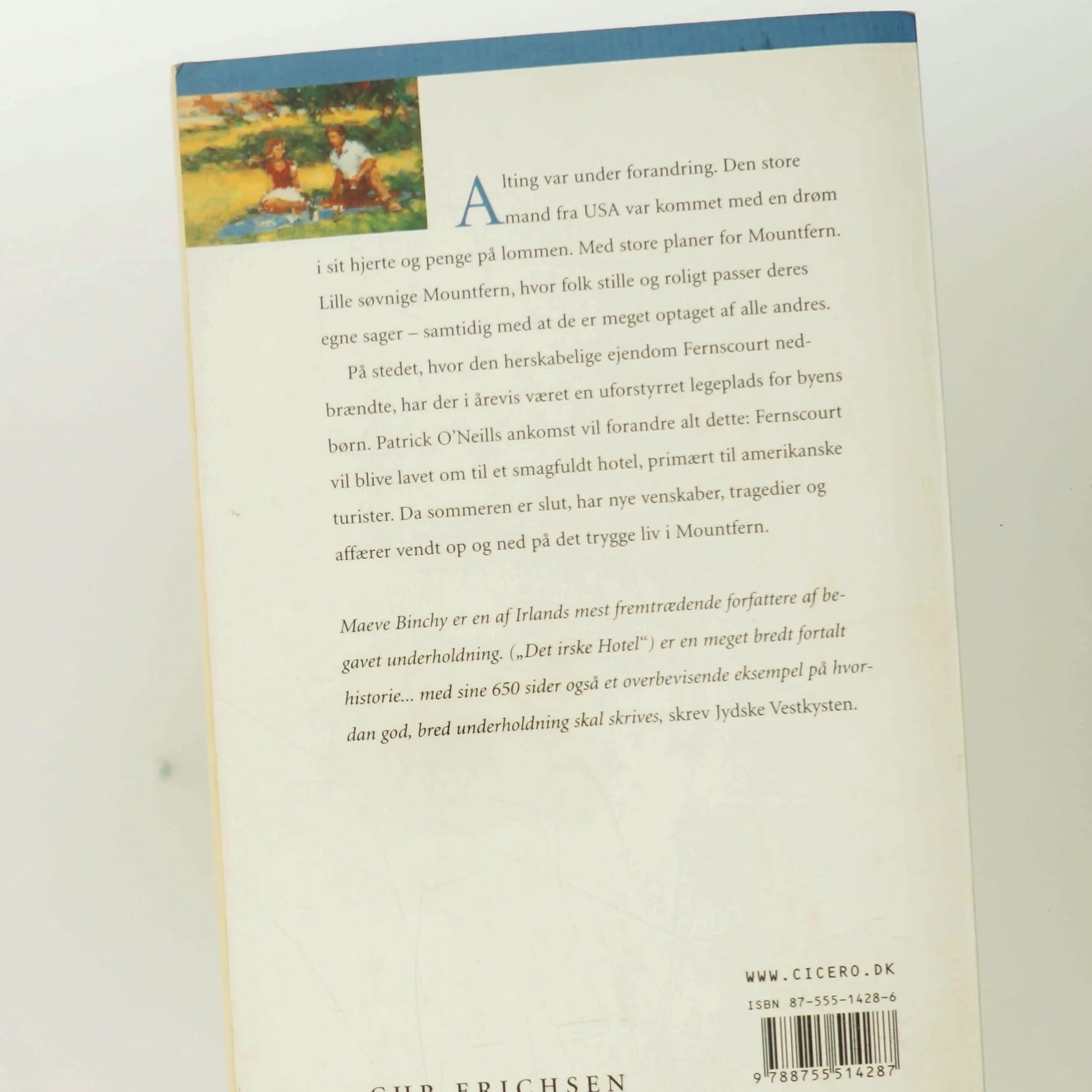 Det irske hotel af Maeve Binchy (Bog)