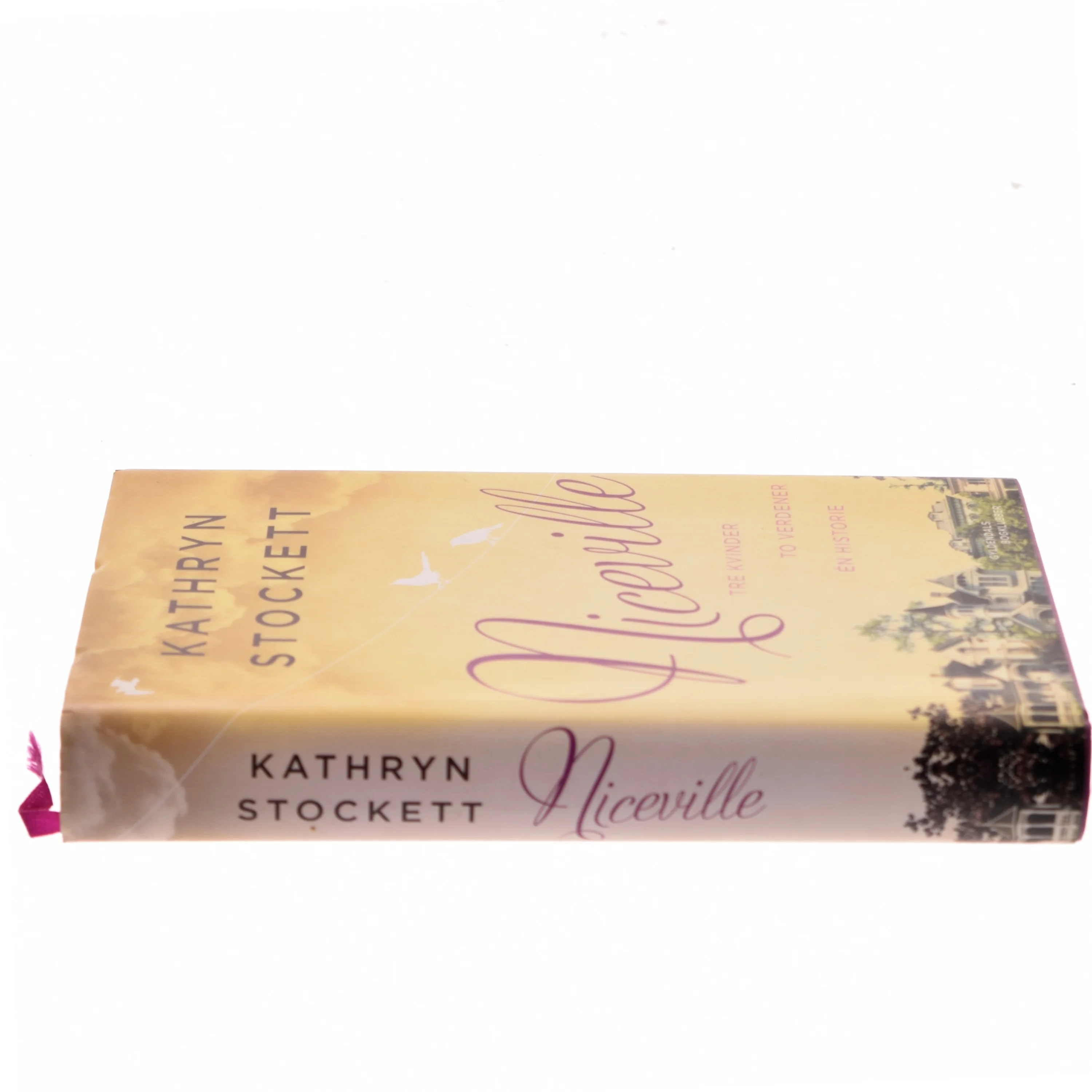 Niceville af Kathryn Stockett (Bog)