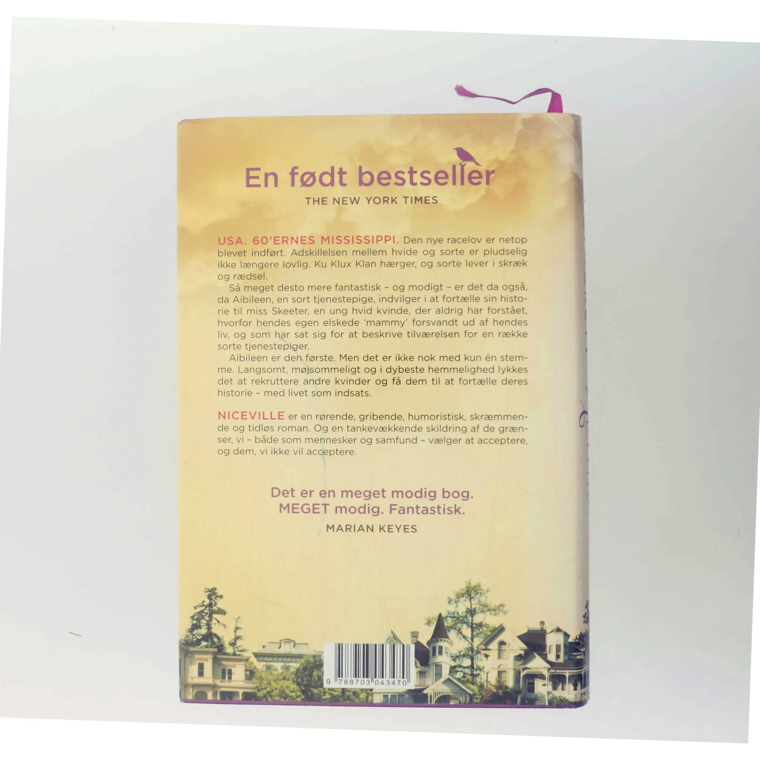 Niceville af Kathryn Stockett (Bog)