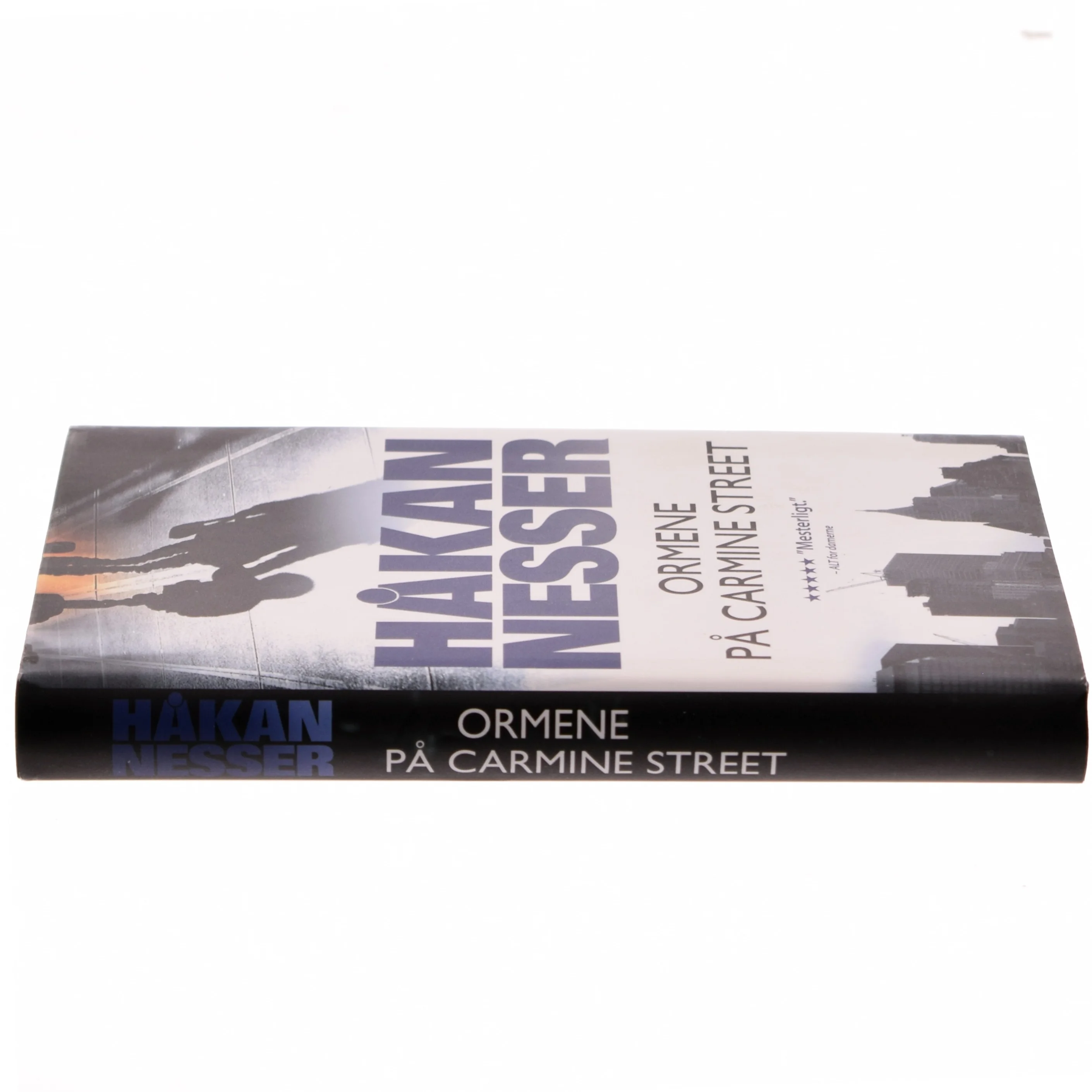 Ormene på Carmine Street af Håkan Nesser (Bog)