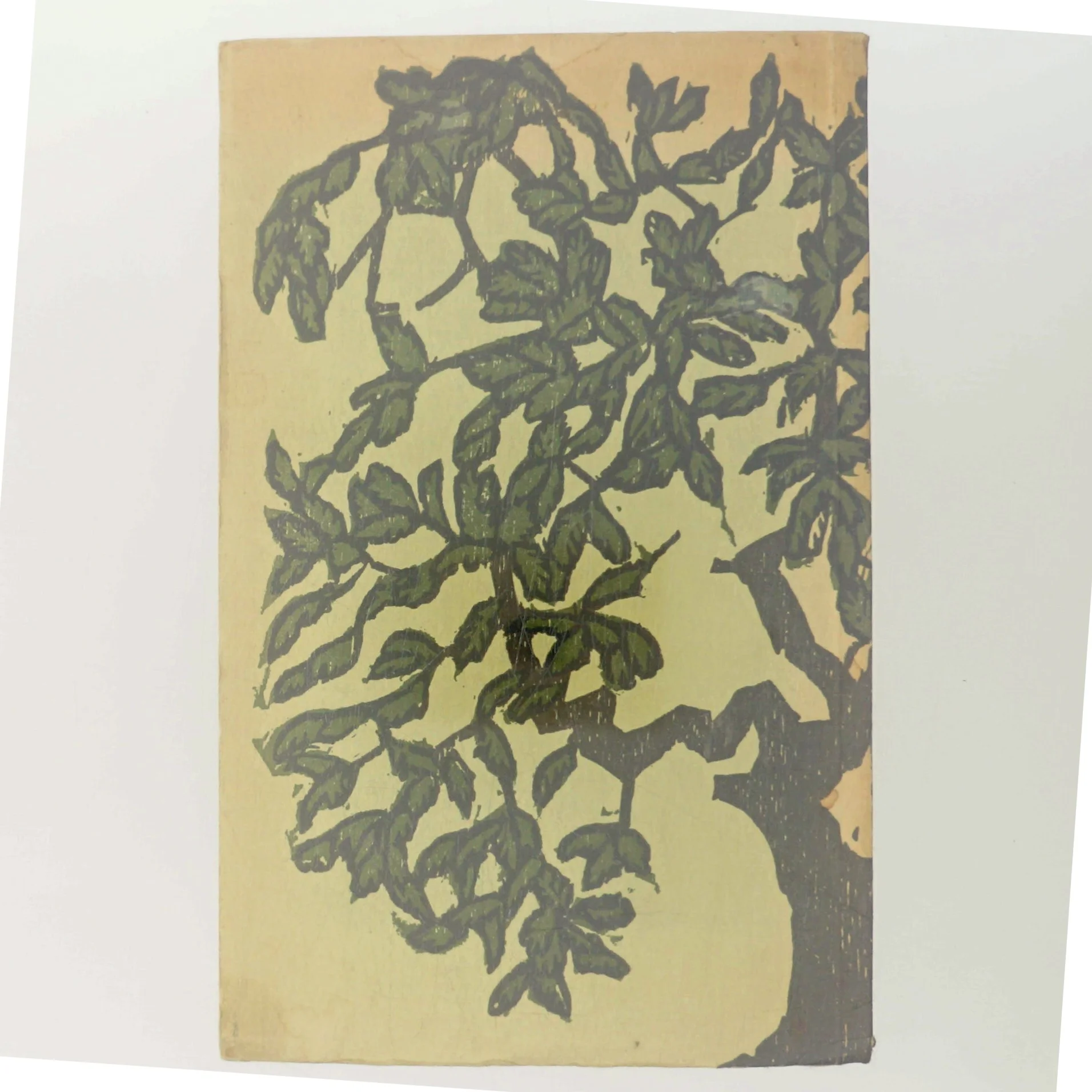 Udvalgte Noveller af J. P. Jacobsen (Bog)