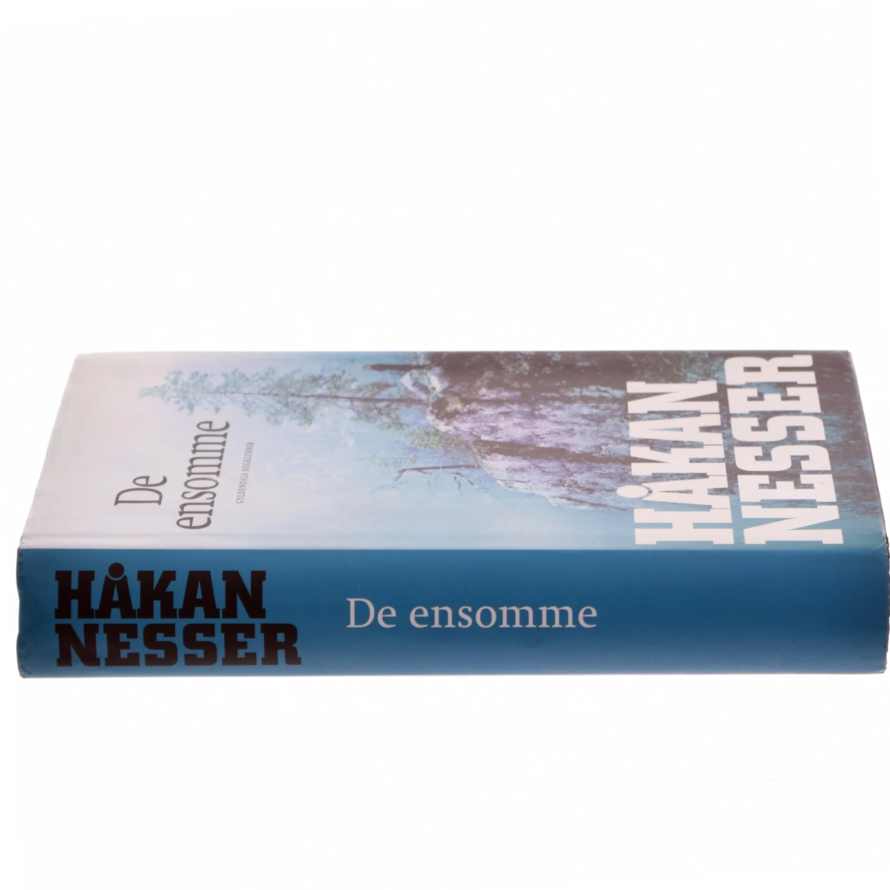 De ensomme af Håkan Nesser (Bog)