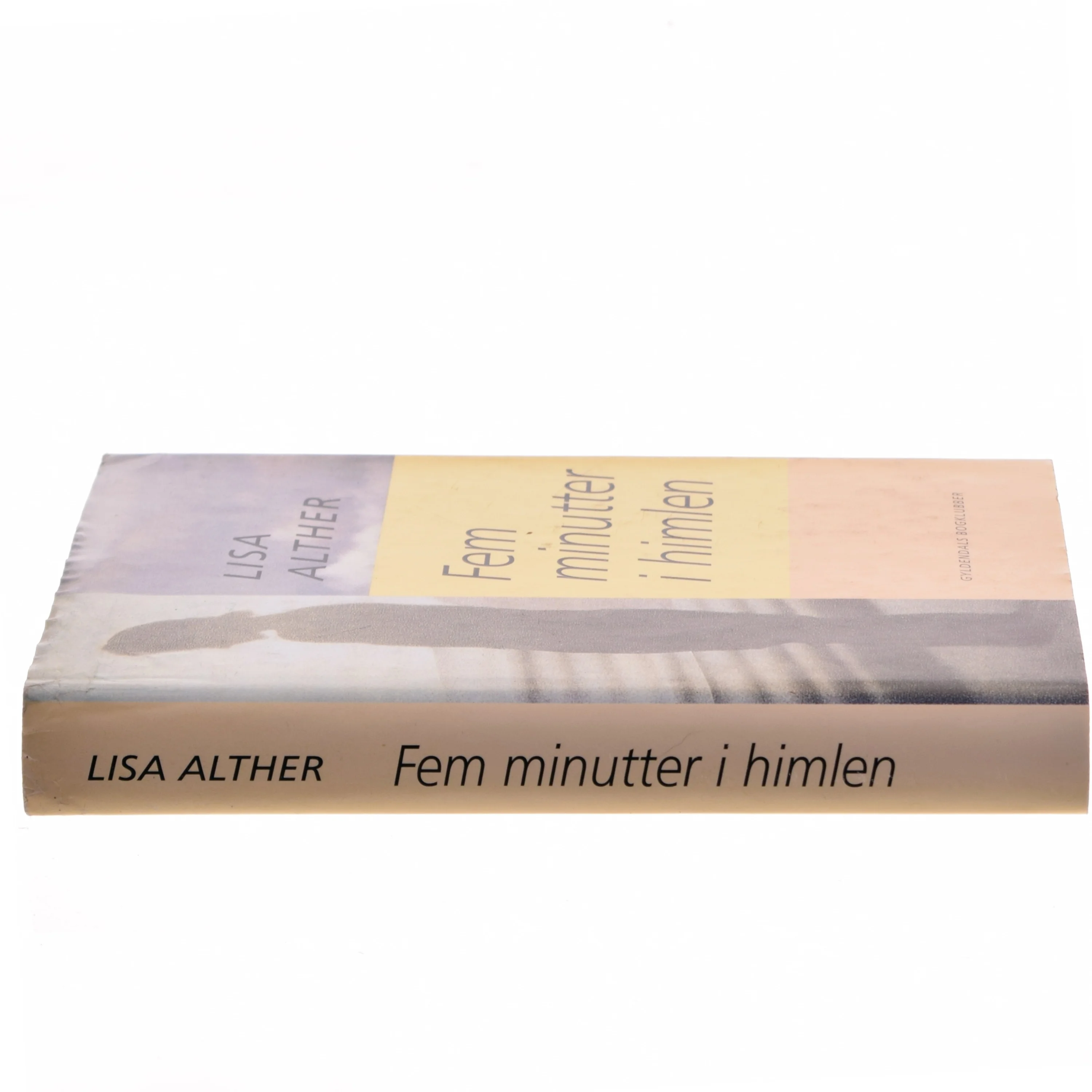 Fem minutter i himlen af Lisa Alther (Bog)