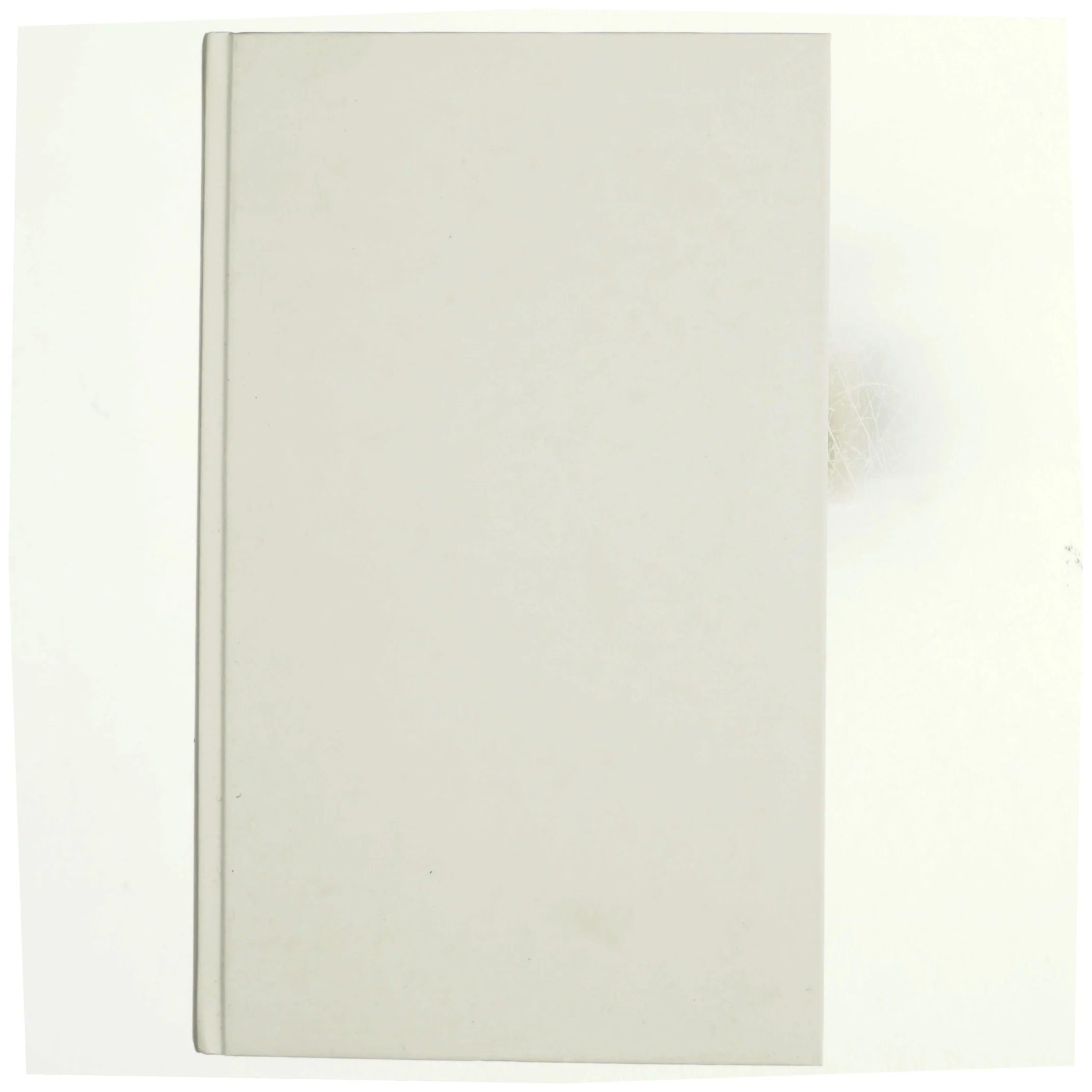 Morten Ramsland, Hundehoved