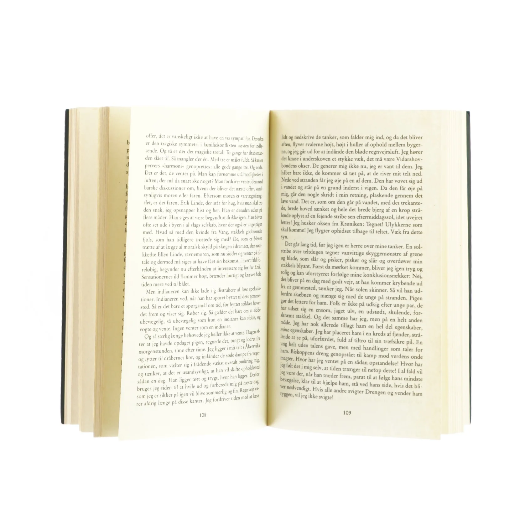 Slangens år af Knut Faldbakken (Bog)