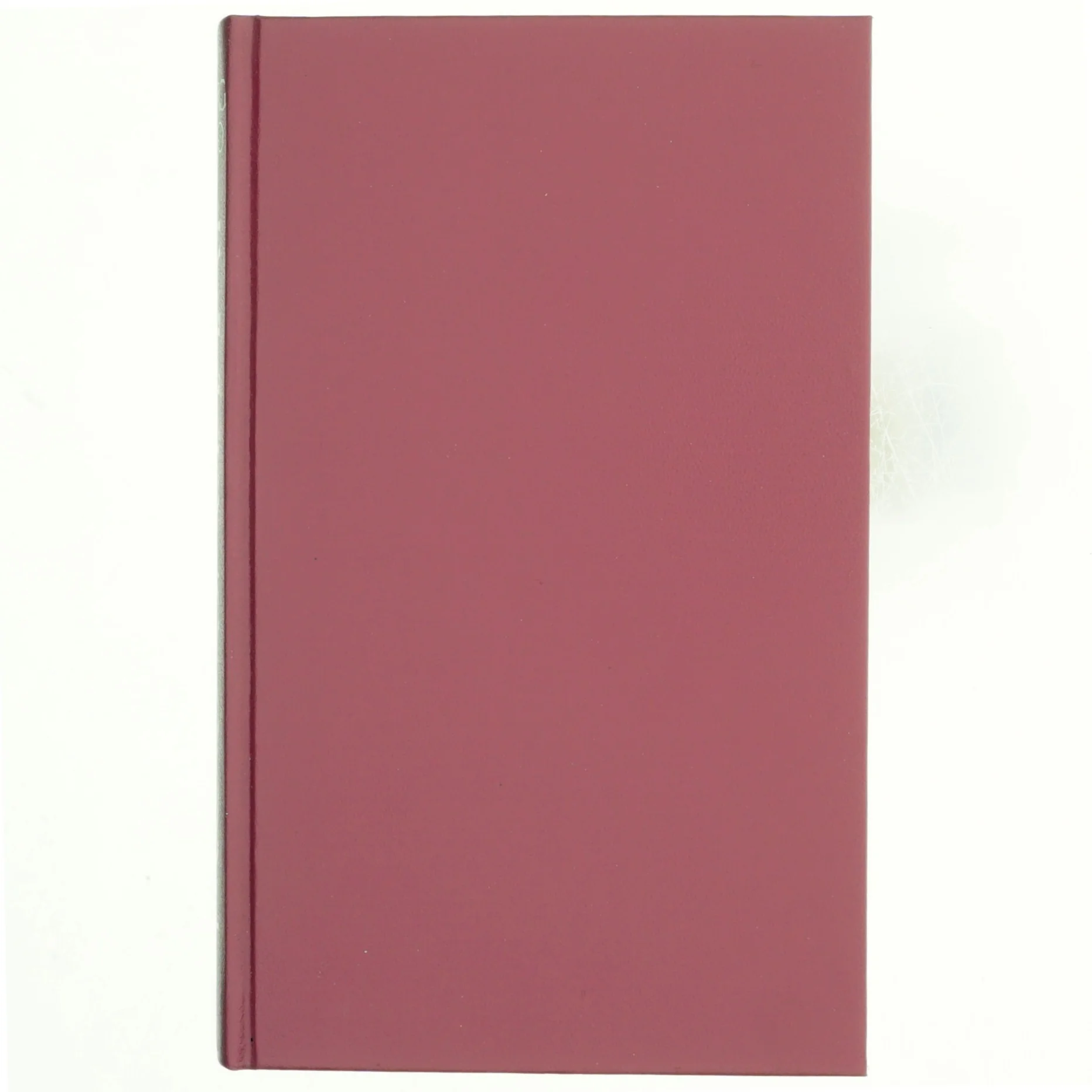 Herbjørg Wassmo, Lykkens søn