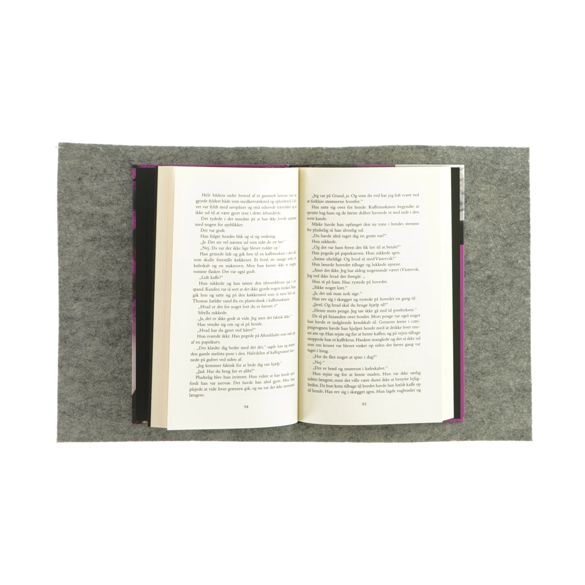 Savnet af Karin Alvtegen (Bog)