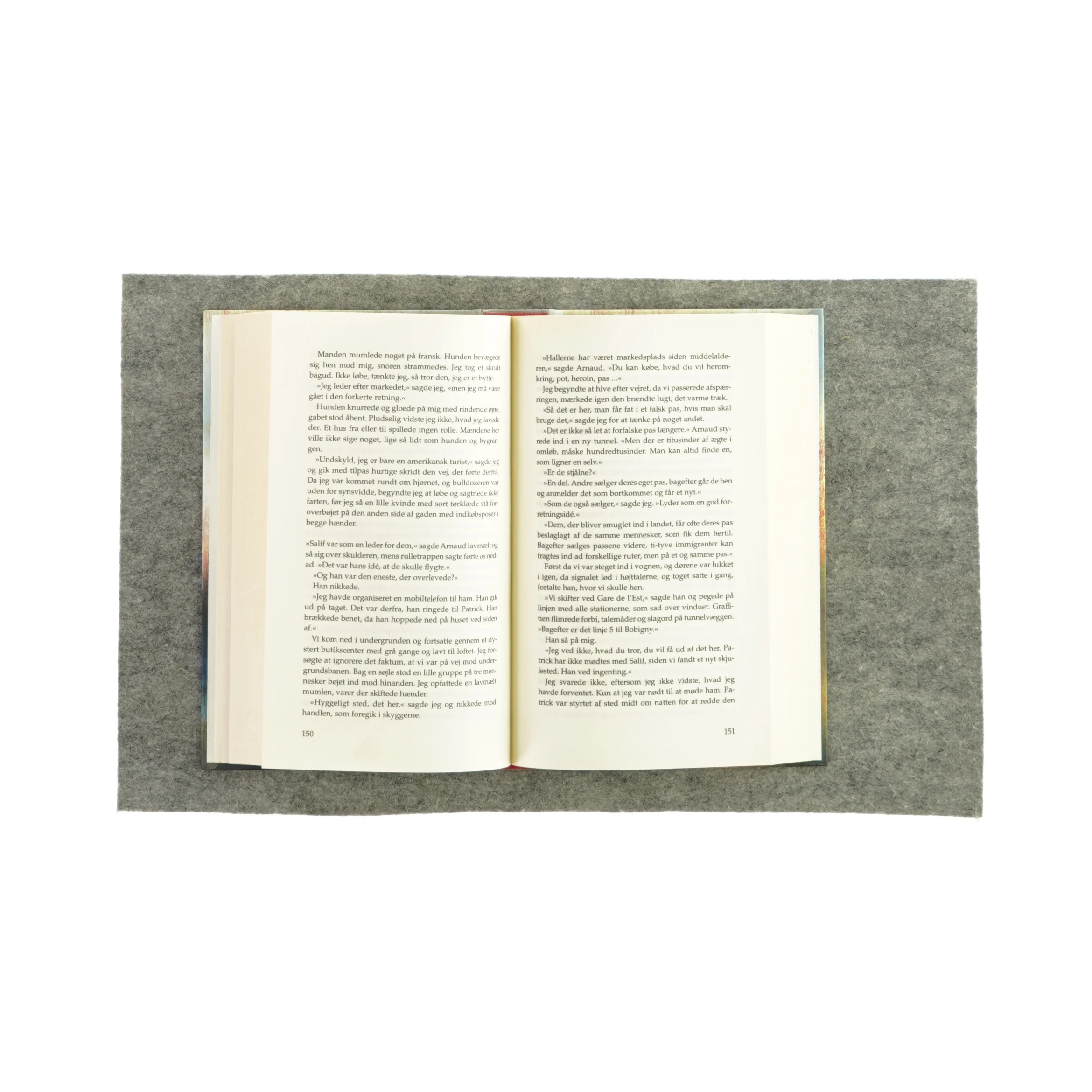 Kvinderne på stranden af Tove Alsterdal (Bog)