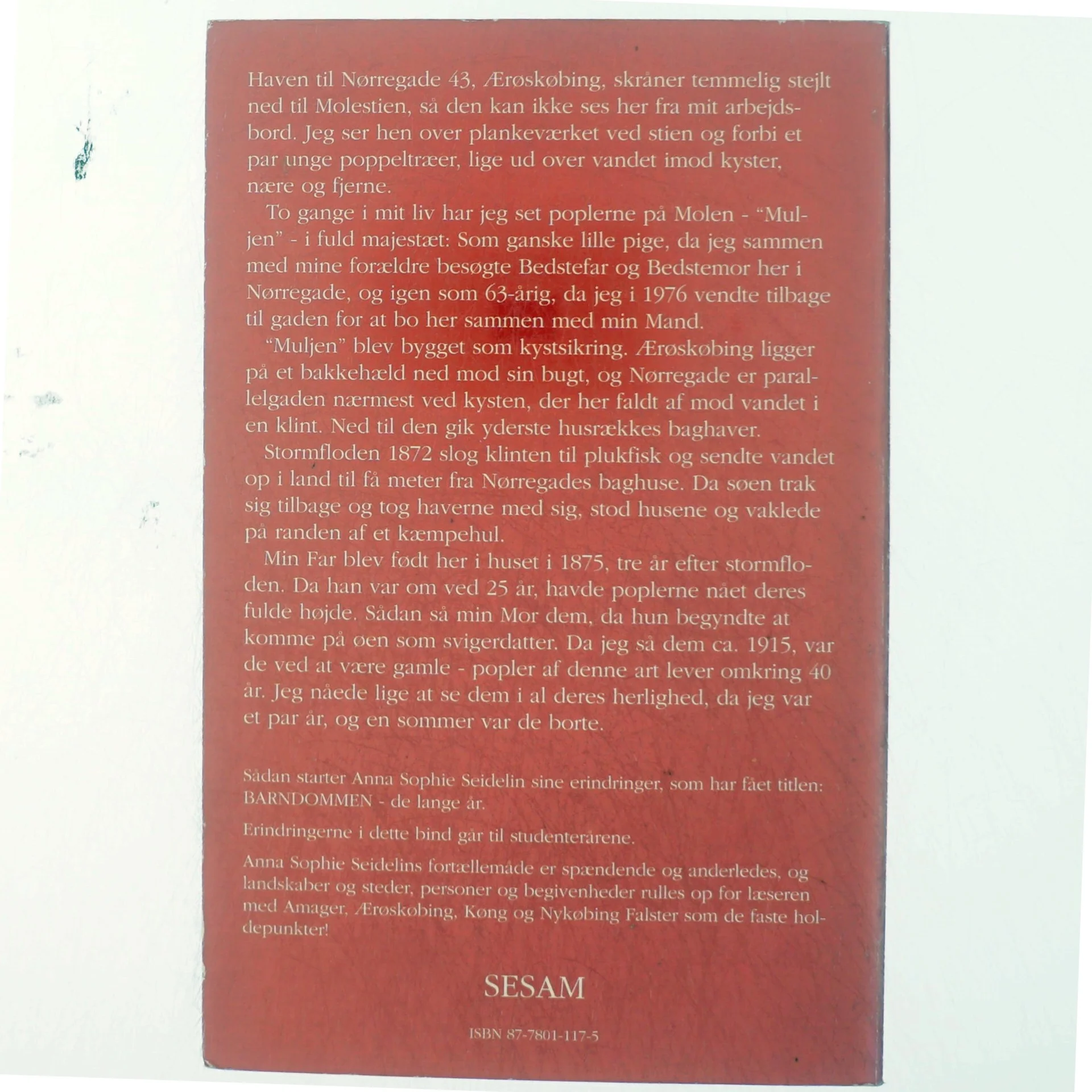 Barndommen, de lange år af Anna Sophie Seidelin