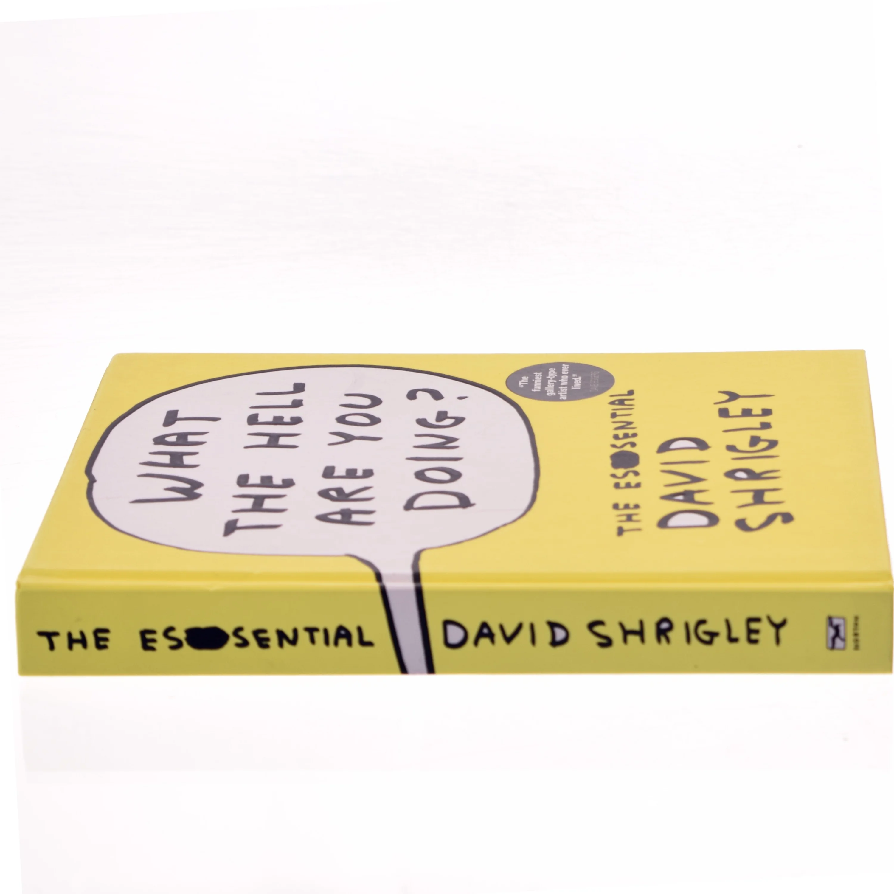 What the hell are you doing? : the essential David Shrigley af David Shrigley (Bog)