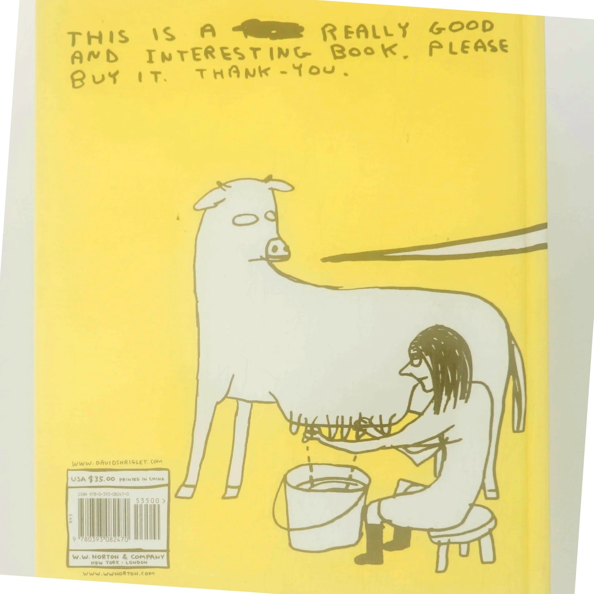 What the hell are you doing? : the essential David Shrigley af David Shrigley (Bog)