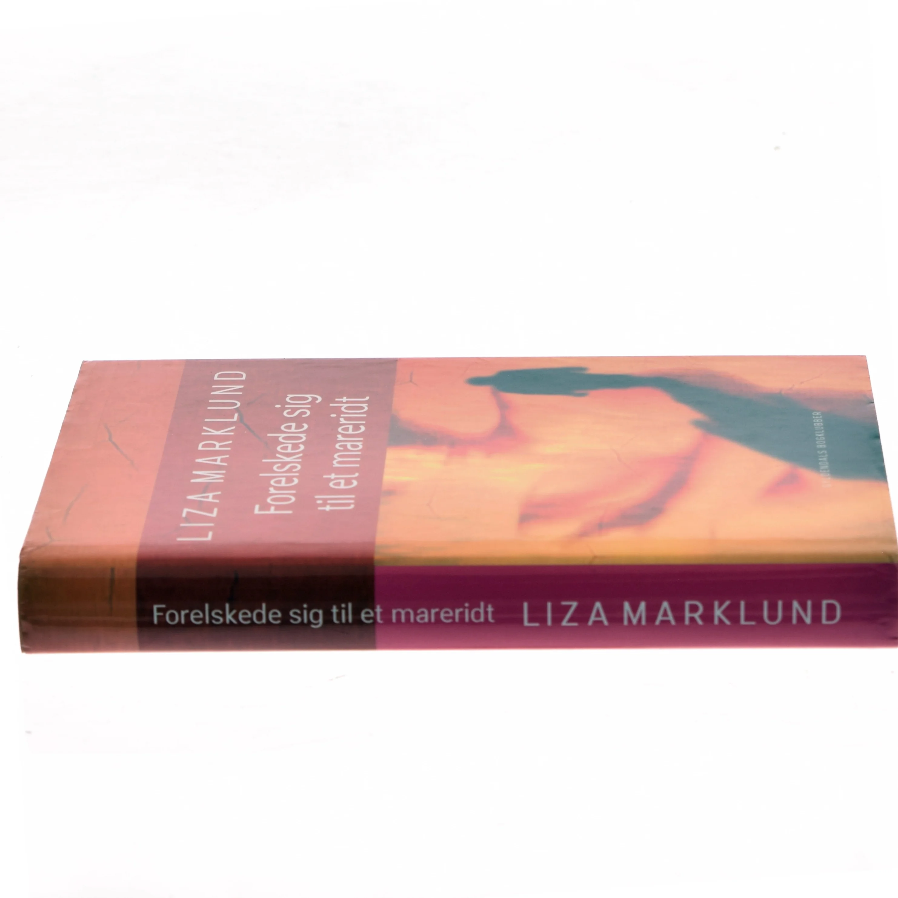 Forelskede sig til et mareridt af Liza Marklund (Bog)