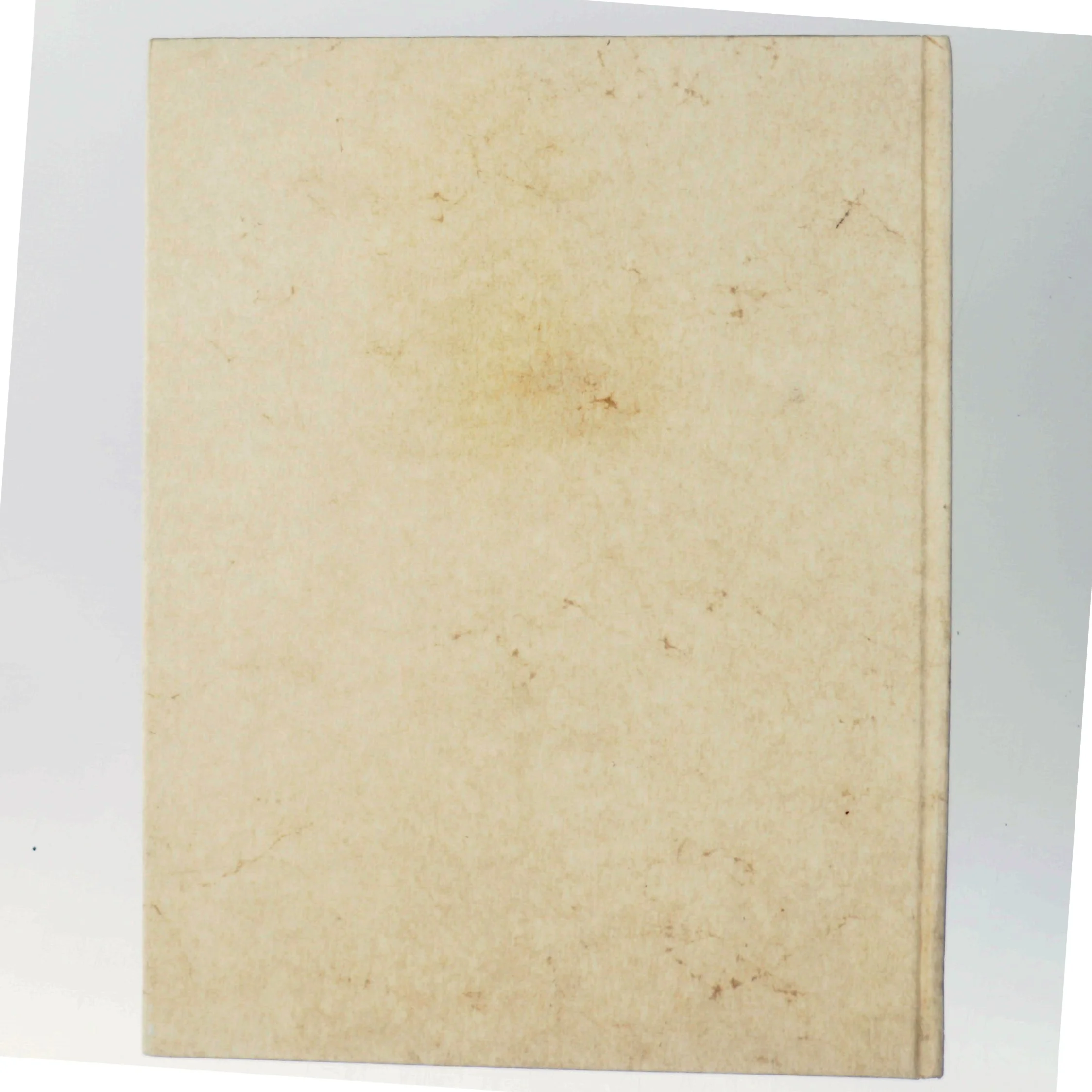 Lademanns Danmarks Historie: Vikingetiden 2 af Ukendt (Bog)