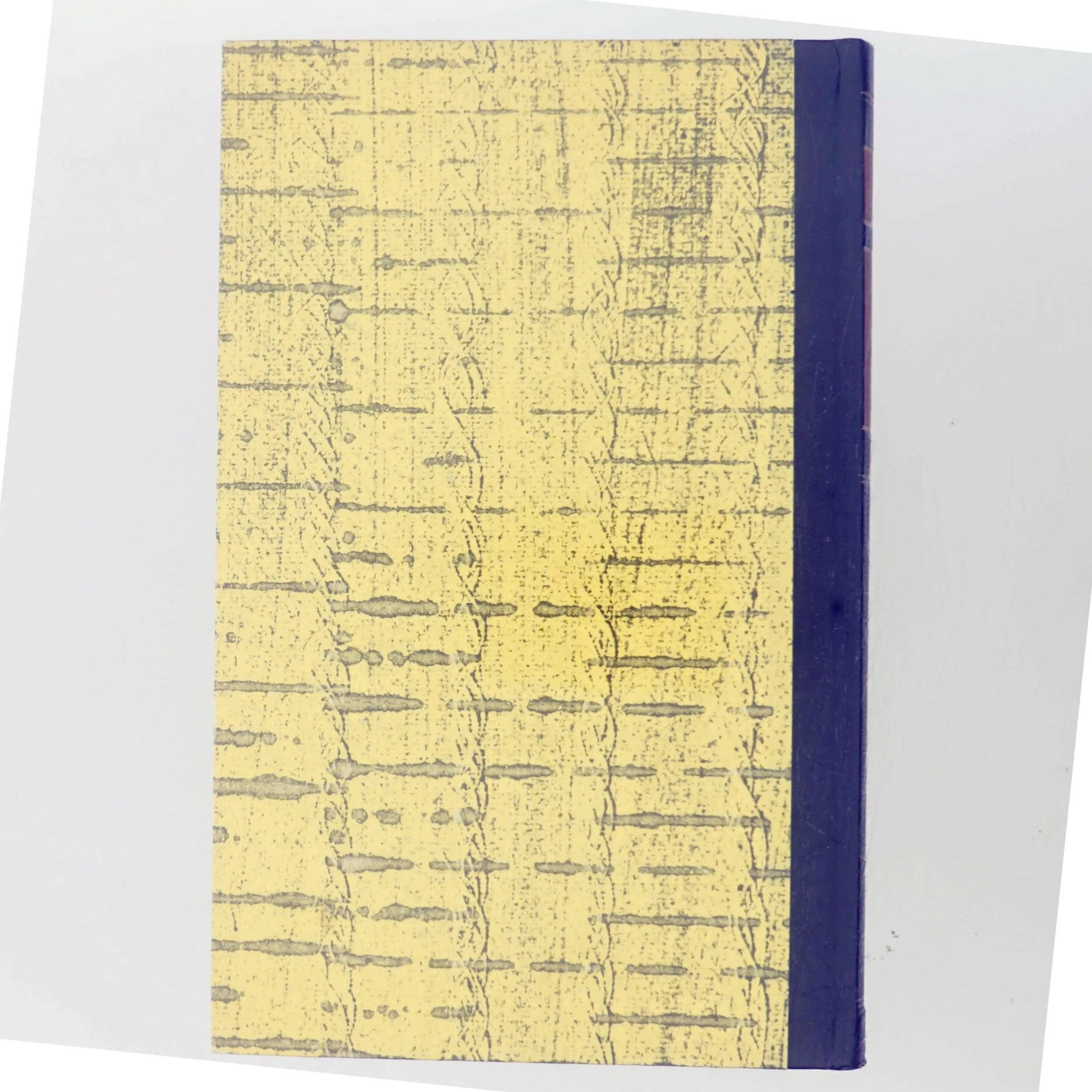 En sort hvid tid af Else Fischer (Bog)