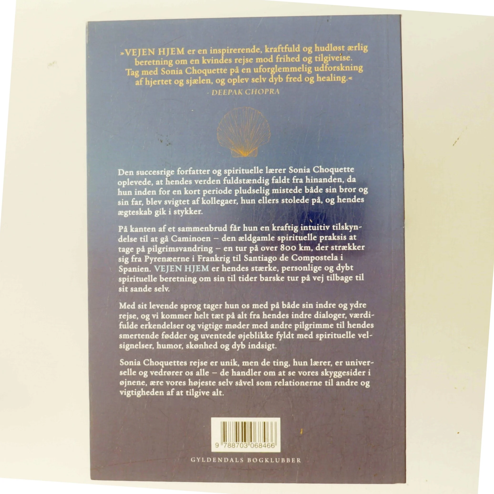 Vejen hjem : en healende og spirituel pilgrimsrejse på Caminoen af Sonia Choquette (Bog)