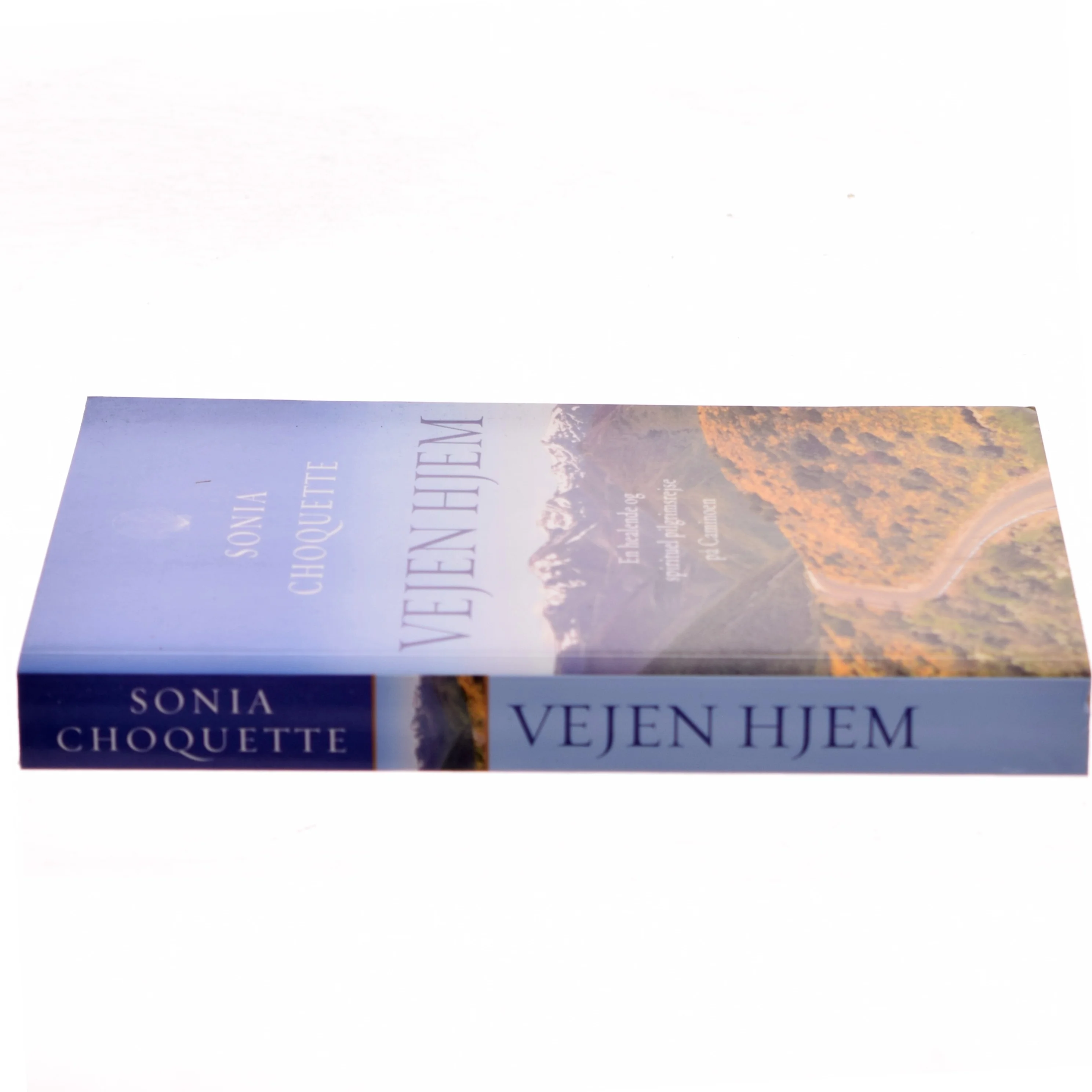 Vejen hjem : en healende og spirituel pilgrimsrejse på Caminoen af Sonia Choquette (Bog)