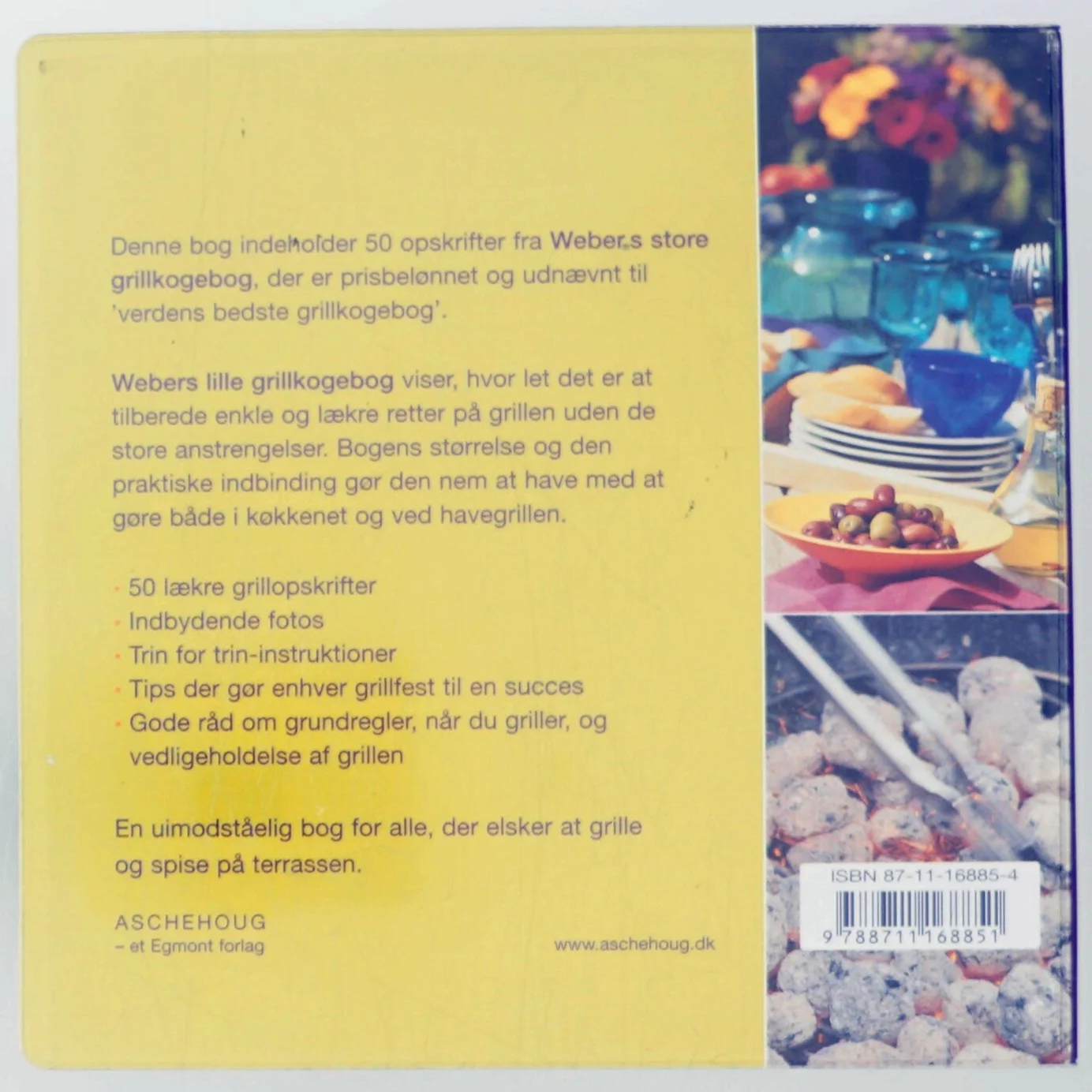 Webers lille grillkogebog af Matthew Drennan (Bog)