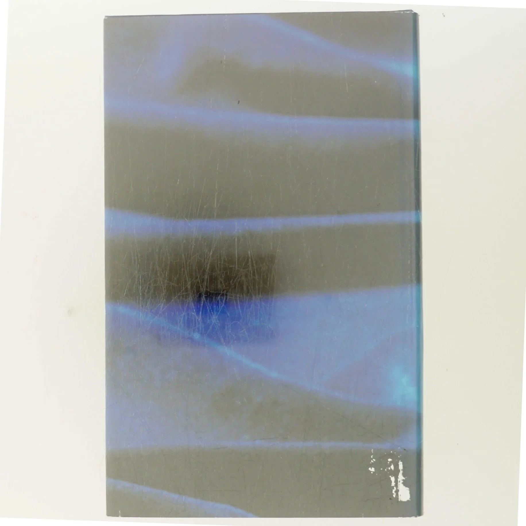 Konkyliesamlerne af Rosamunde Pilcher (Bog)