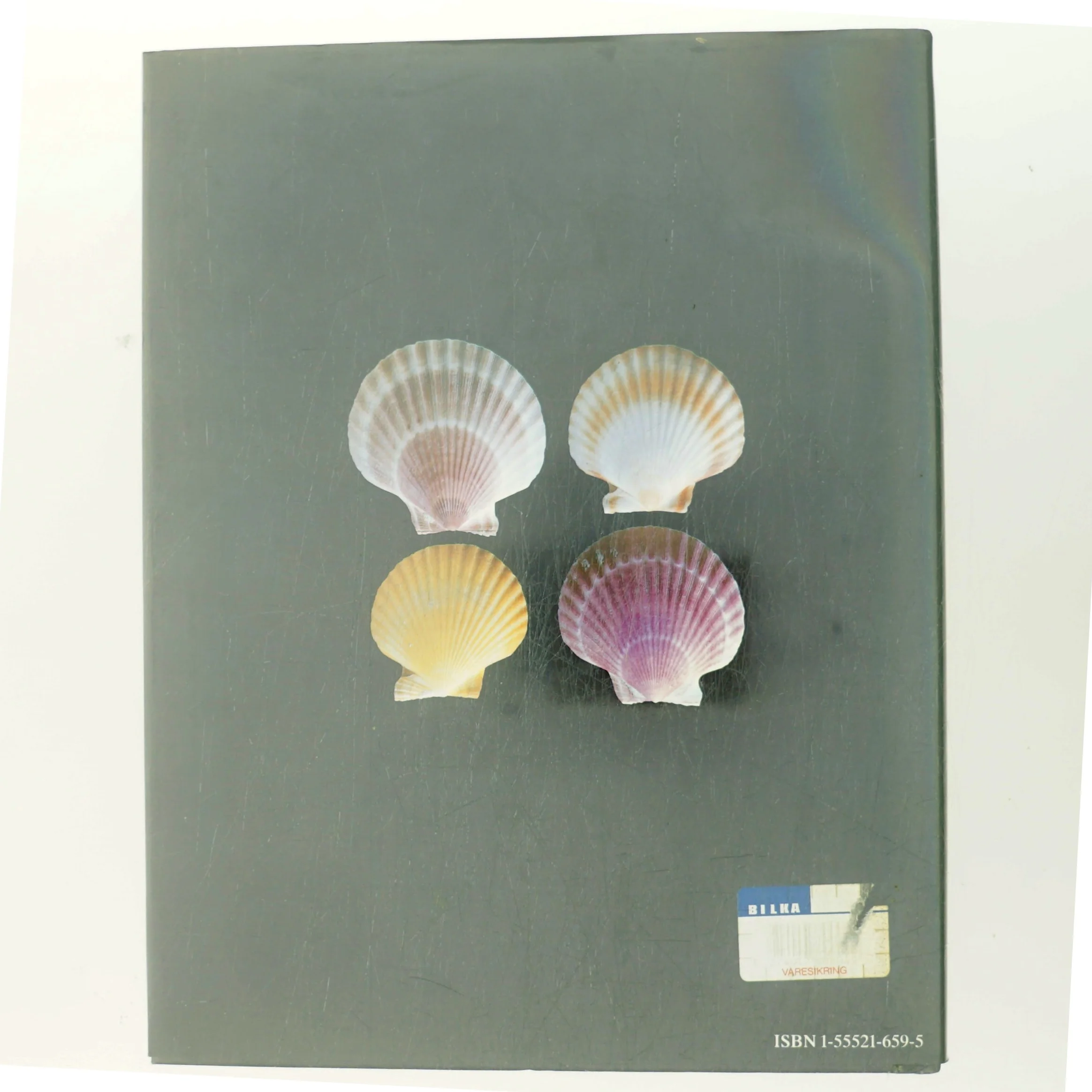 The Collector's Encyclopedia of Shells af S. Peter Dance (Bog)