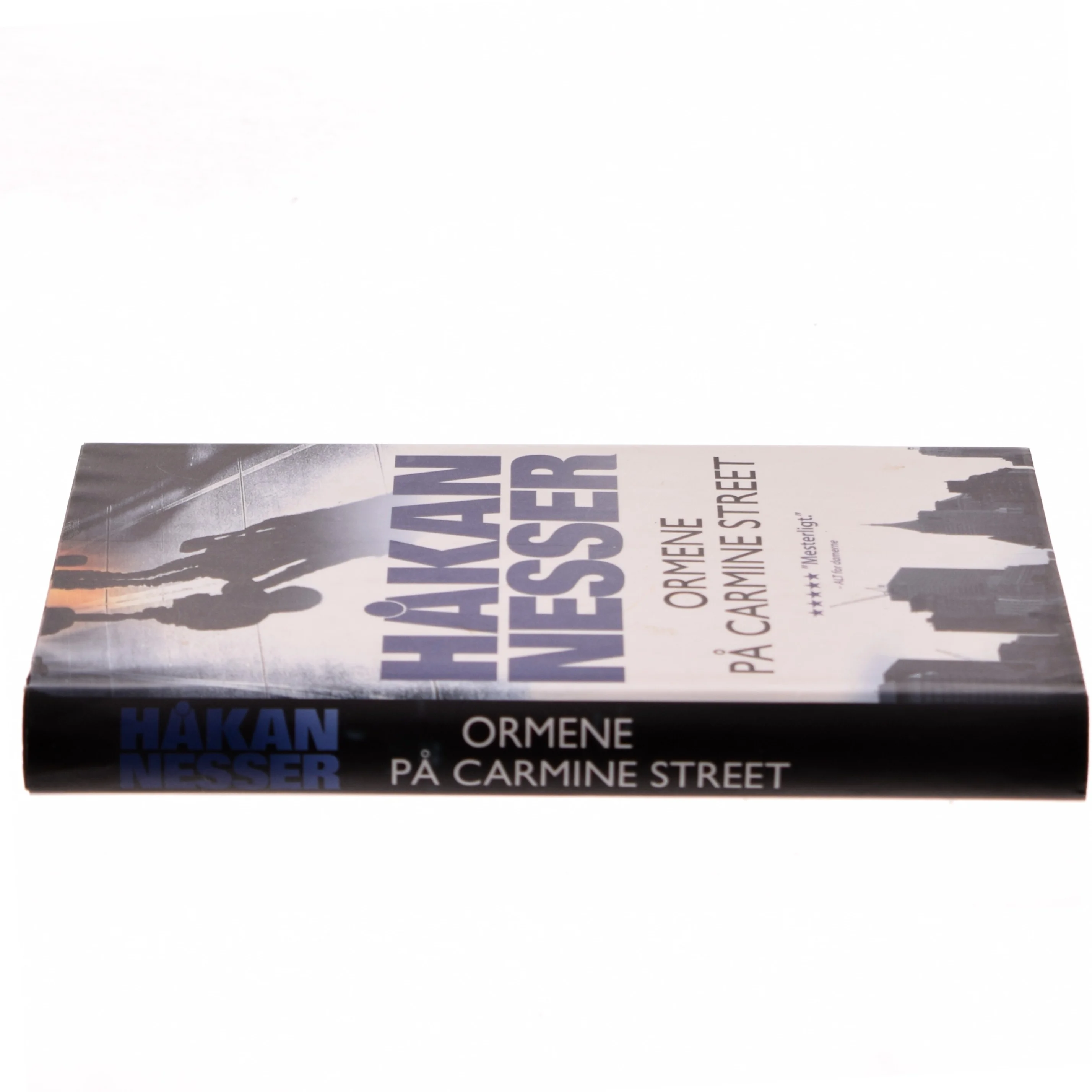 Ormene på Carmine Street af Håkan Nesser (Bog)